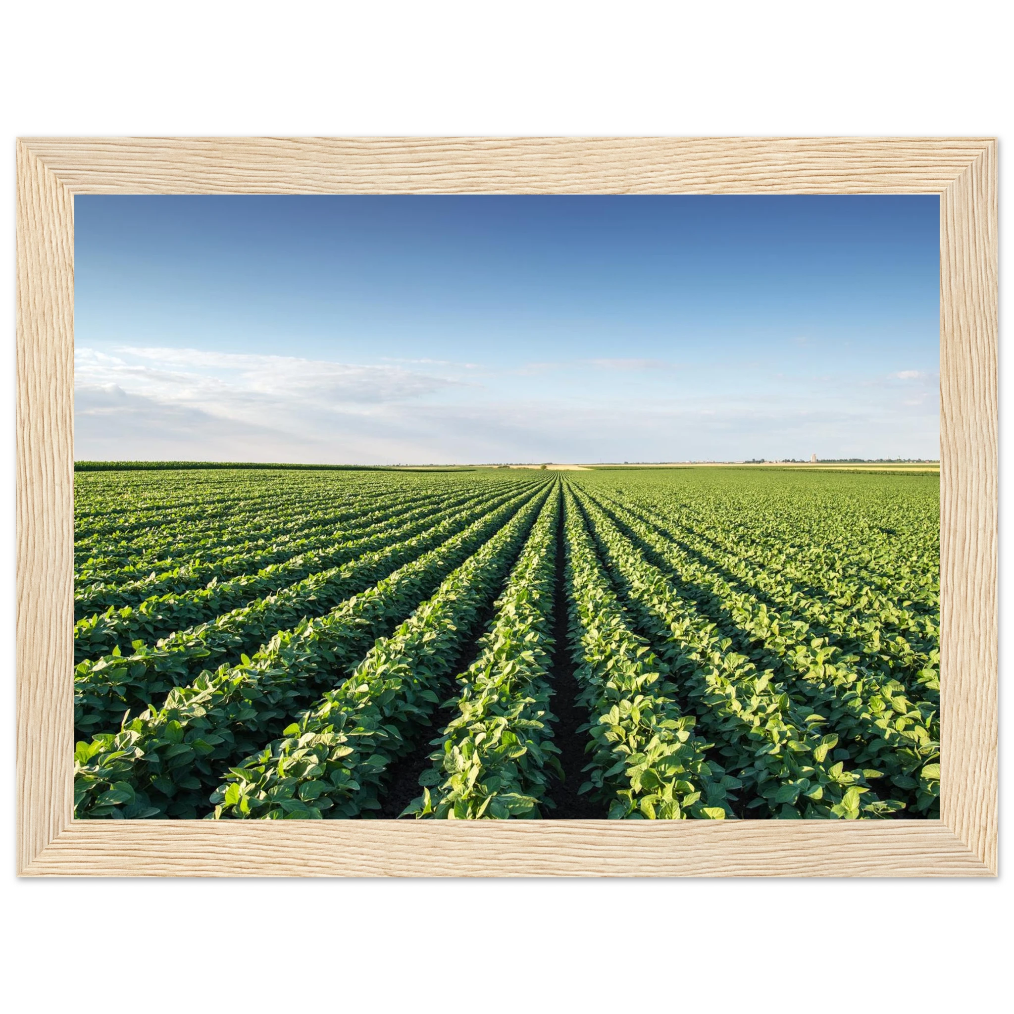 71ab7e47-a734-45cf-803a-32f6ed7ef9a7