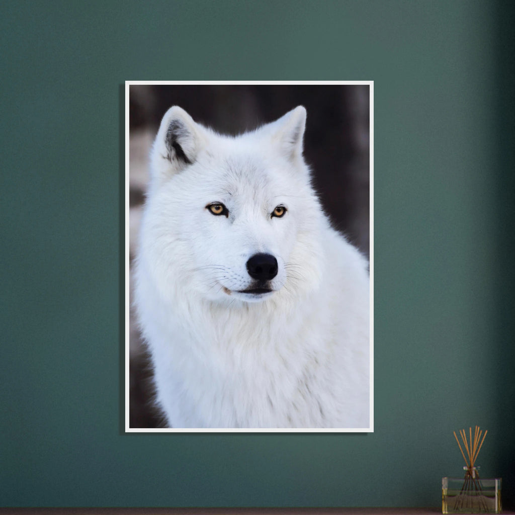 71d300a1-770f-4ff4-b7fe-95d08cc0949e