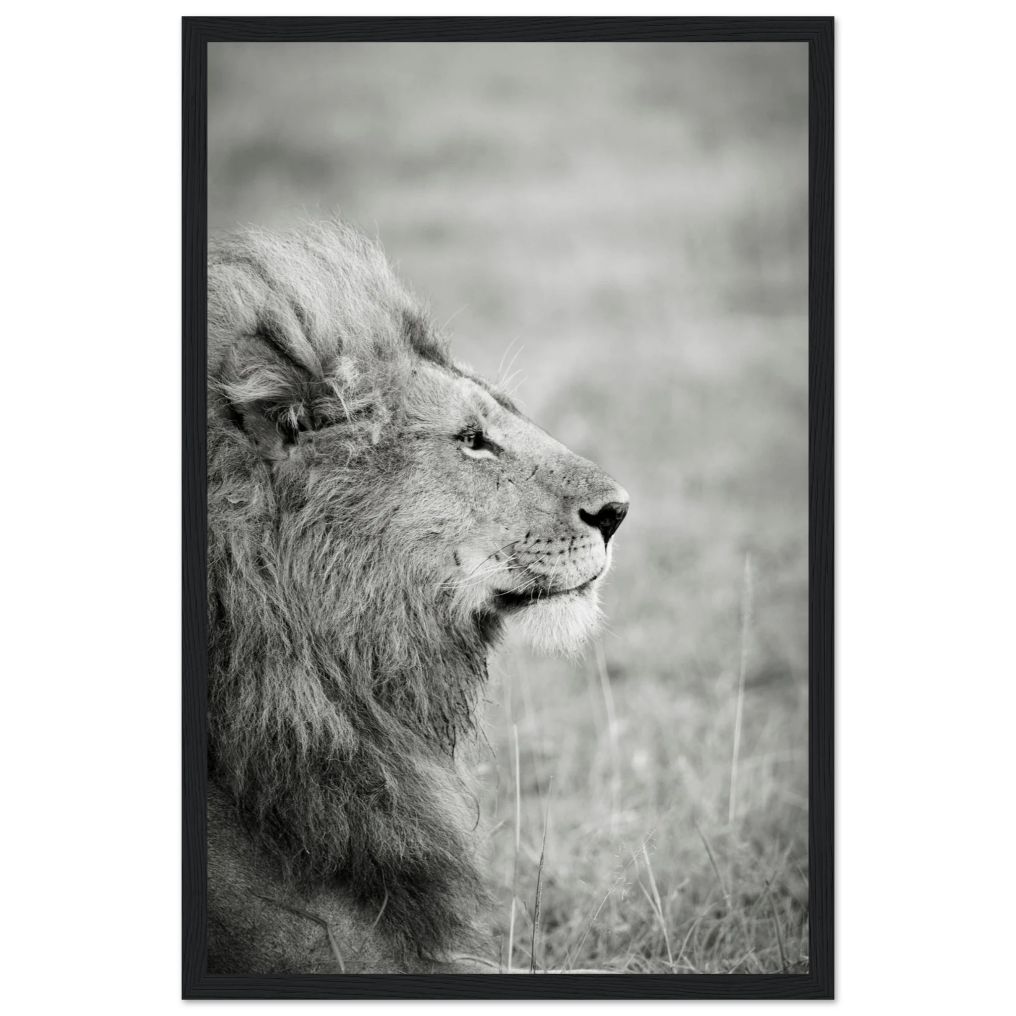 71e61733-ab94-41aa-ab80-8df5a9ac5413