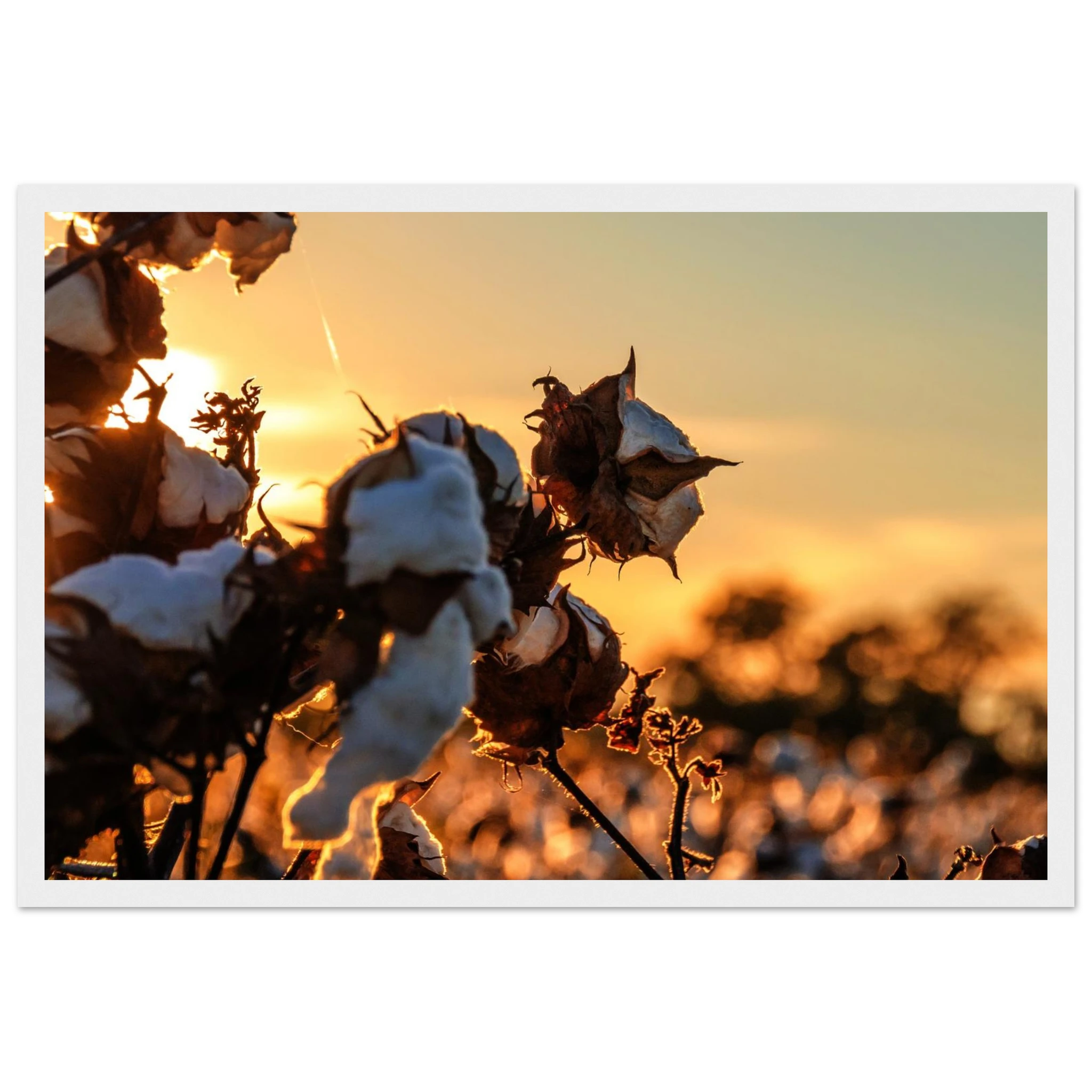 71f71489-4d7f-4a74-b05e-8fe5da8566b2