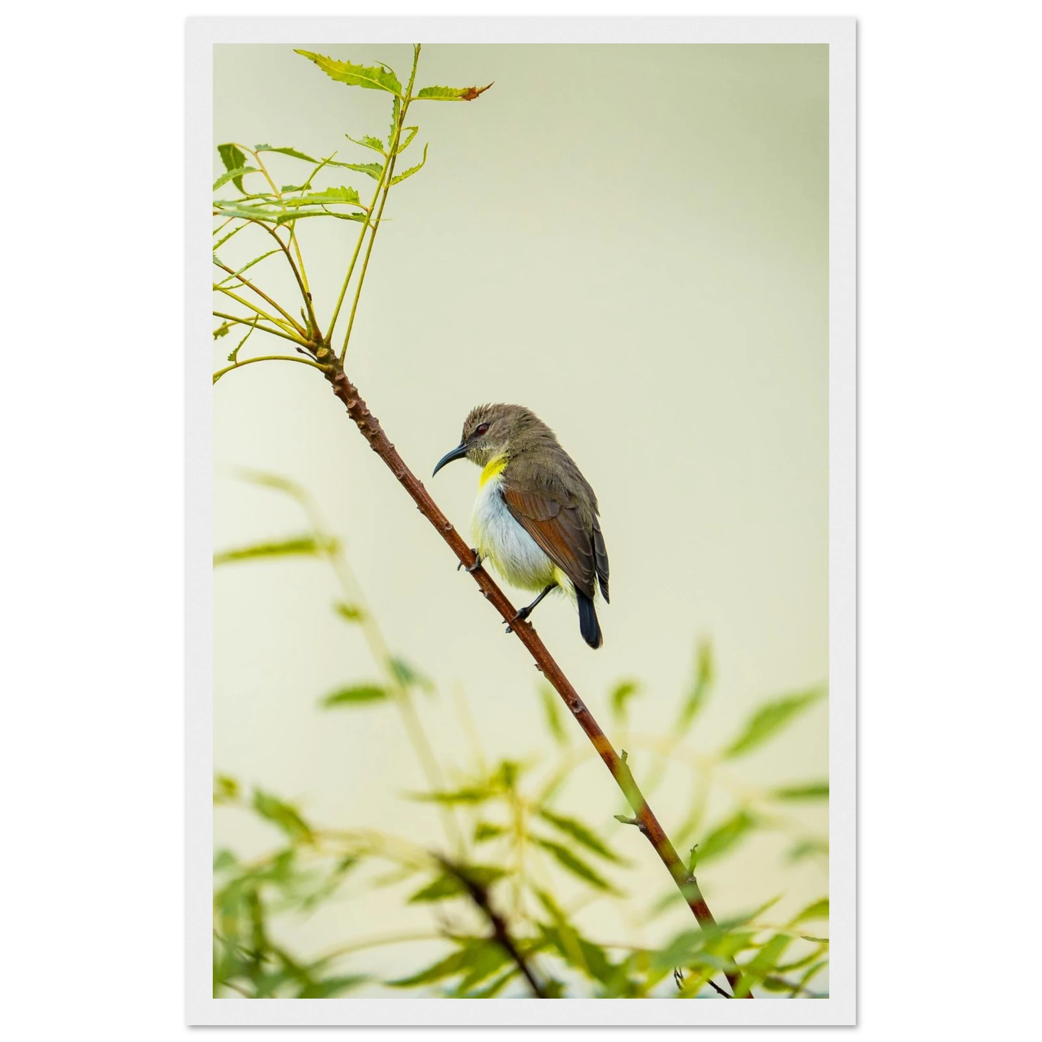 7239801e-fb29-46a9-8a6c-2ea392215151