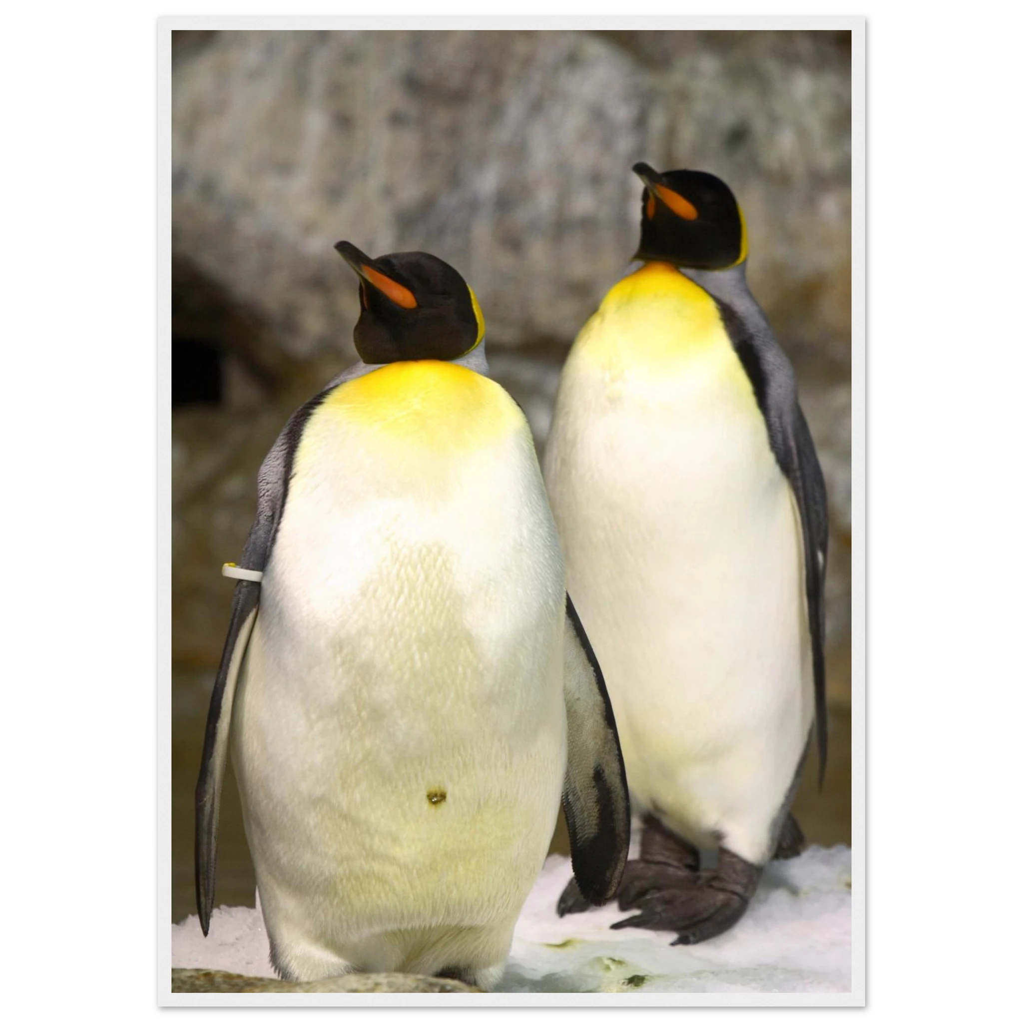 727a716f-f047-478f-8346-26c5b17abae4