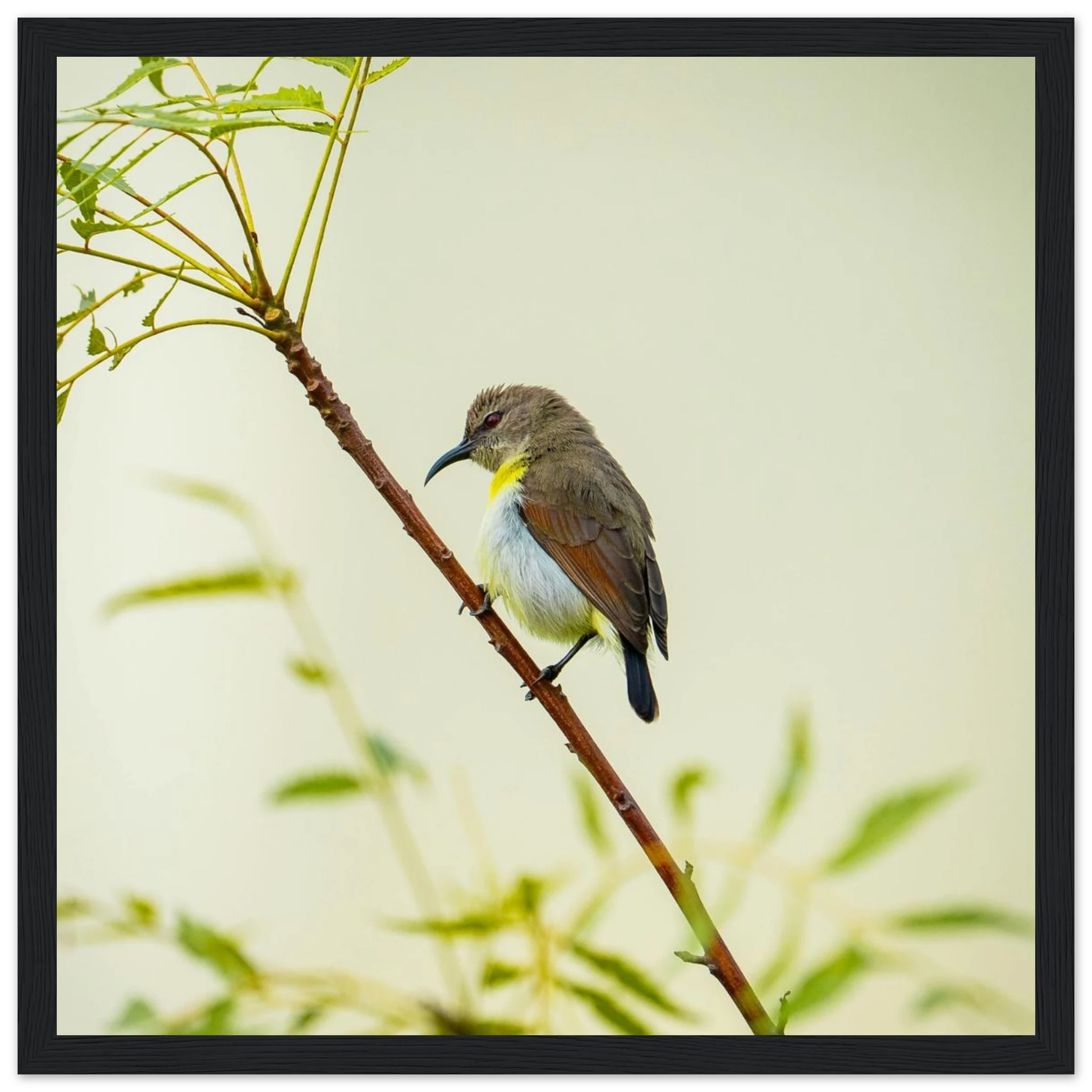 727e7f94-9d72-410d-8d55-5876f807f15e