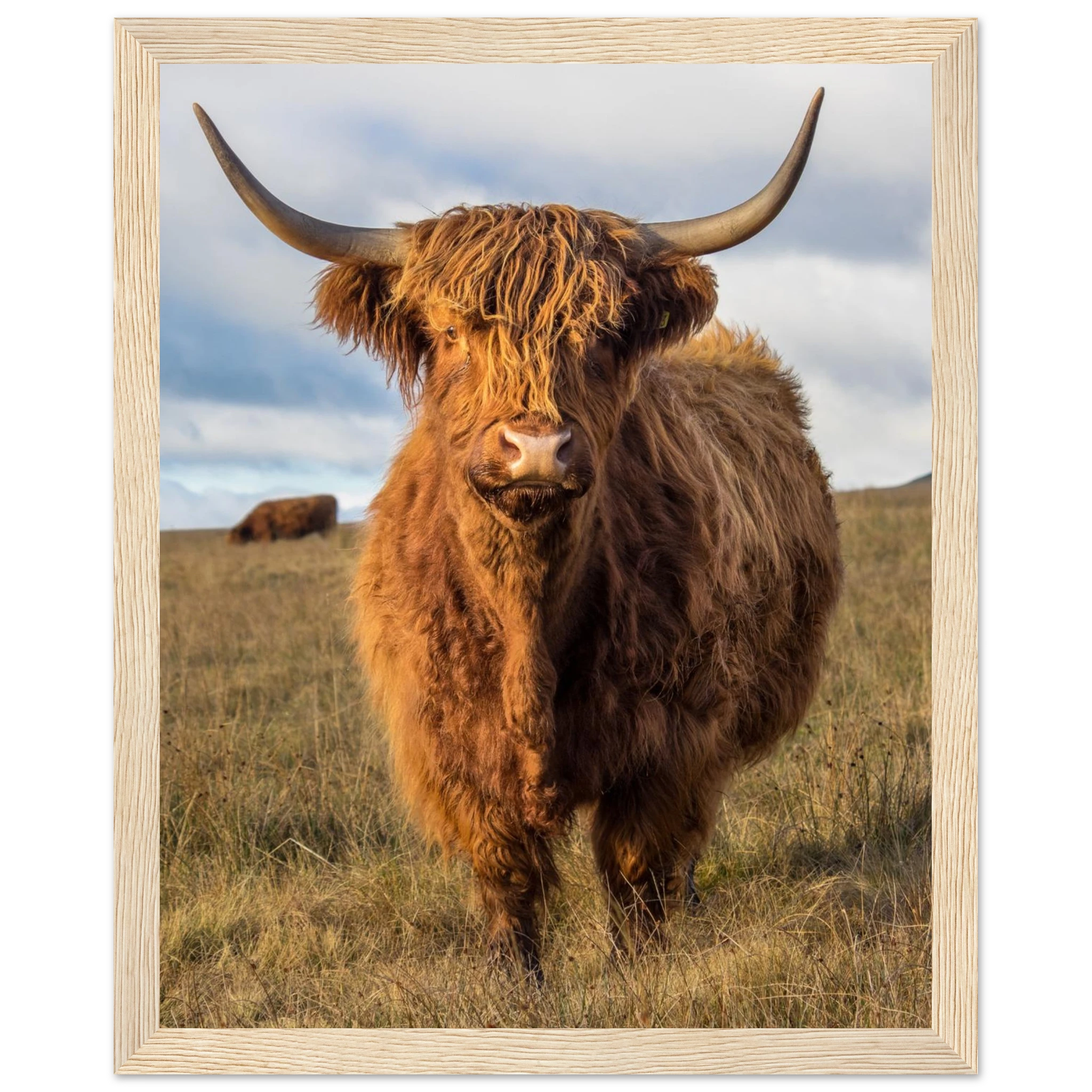 7290f10d-aefc-40d2-9d09-49a41e52a4c0