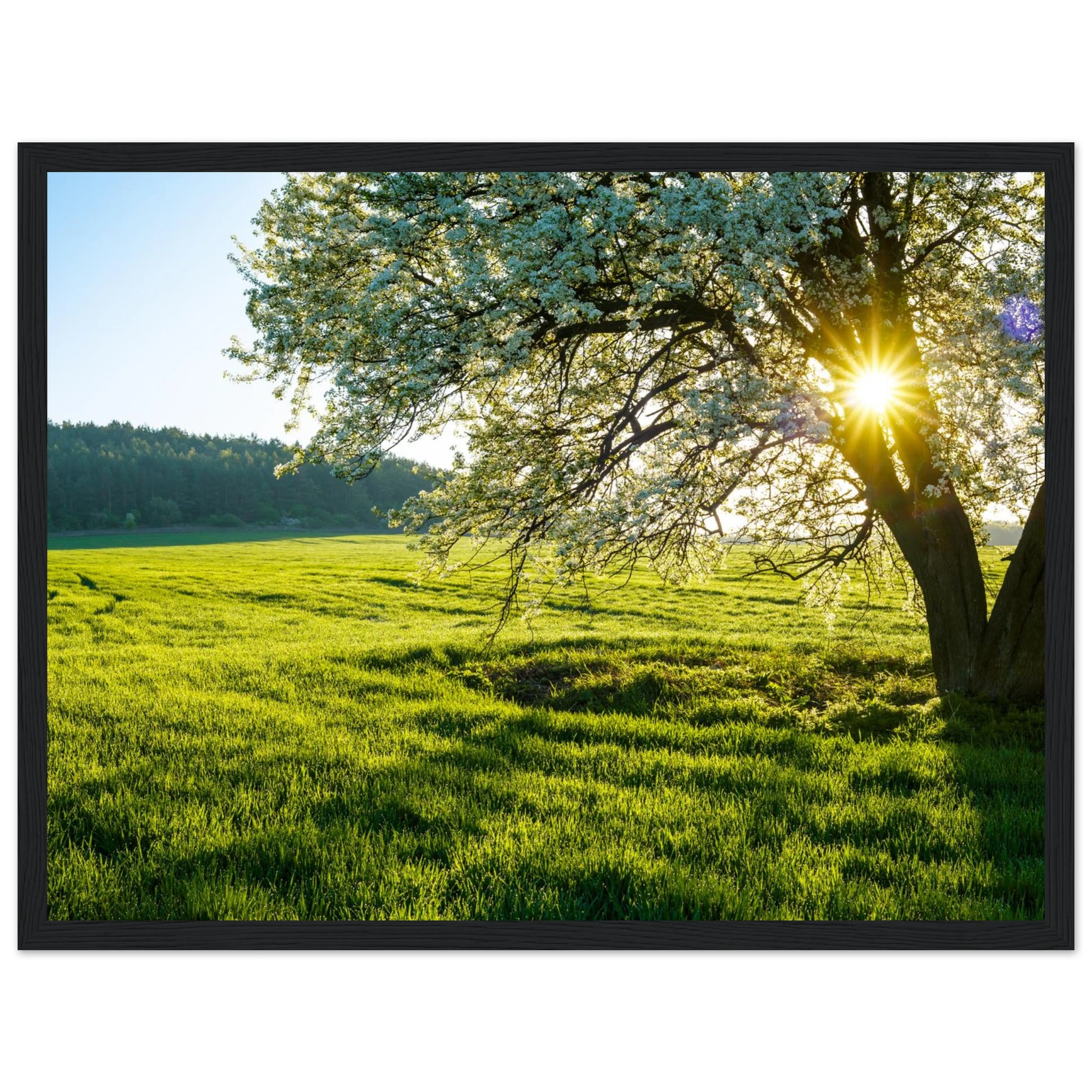 7294ecdc-56c9-4495-969c-ce62ad09d87e