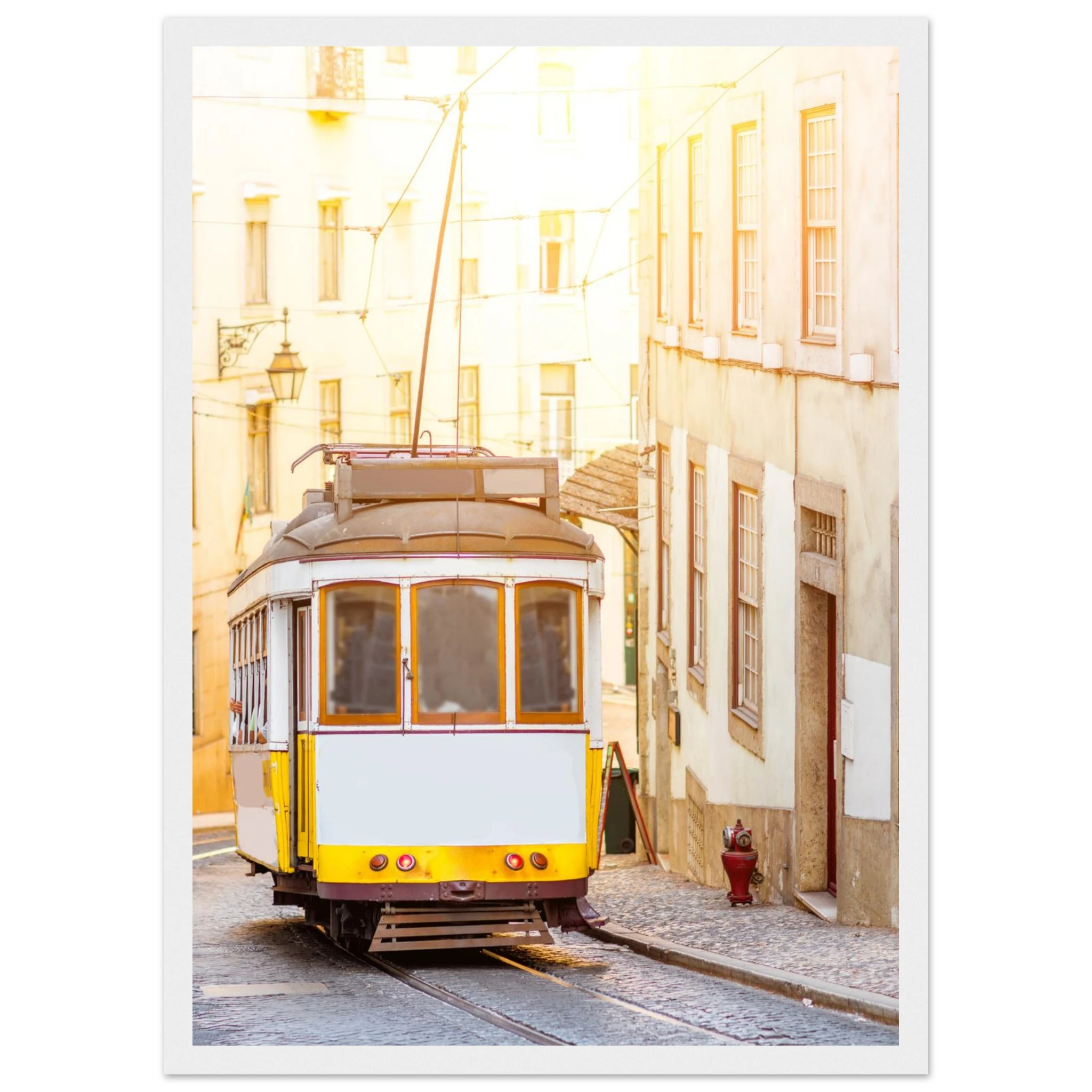 729a8959-4b2f-4e81-ba39-db782adff835