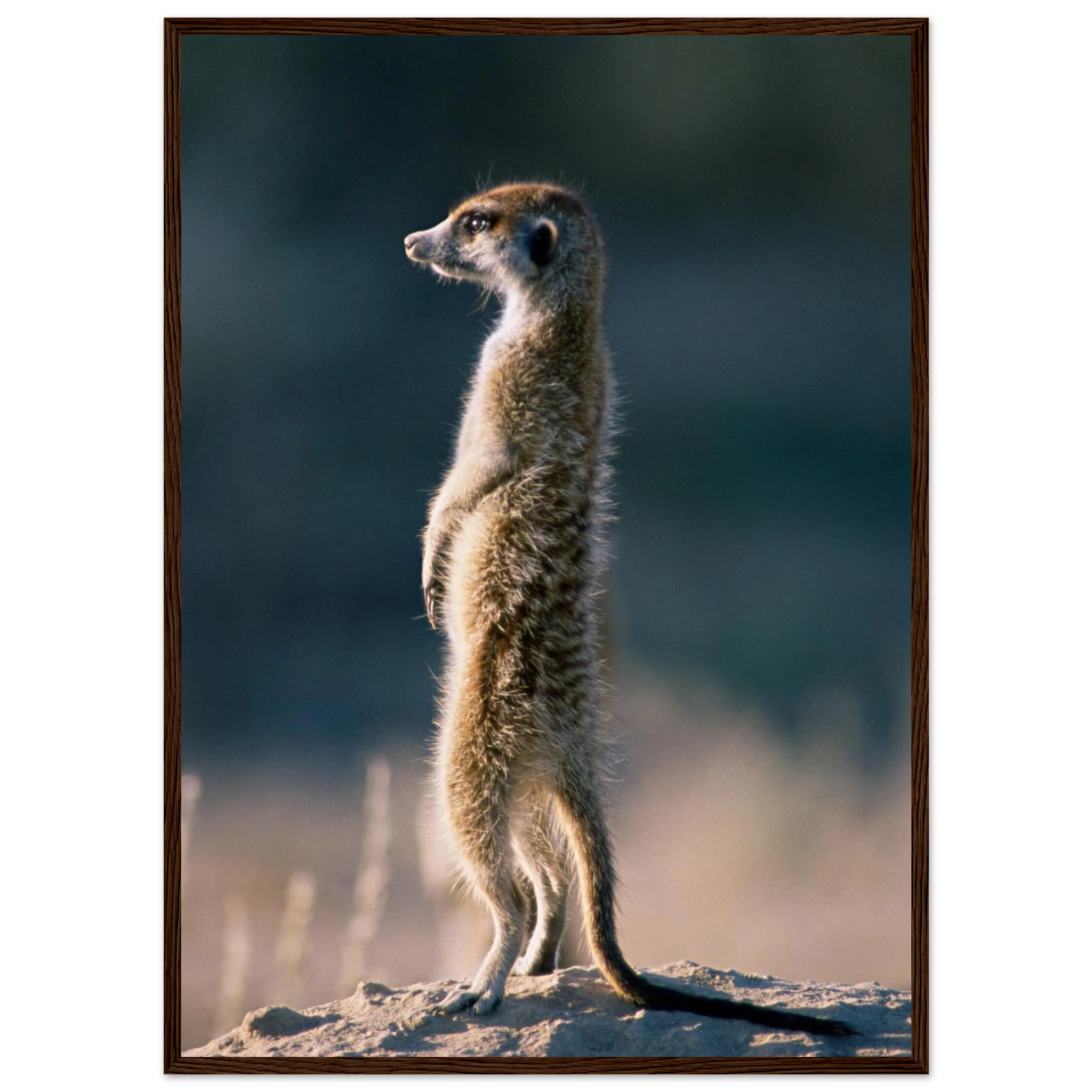 72a10d44-b927-4a4a-9afa-f9a5cde30c40