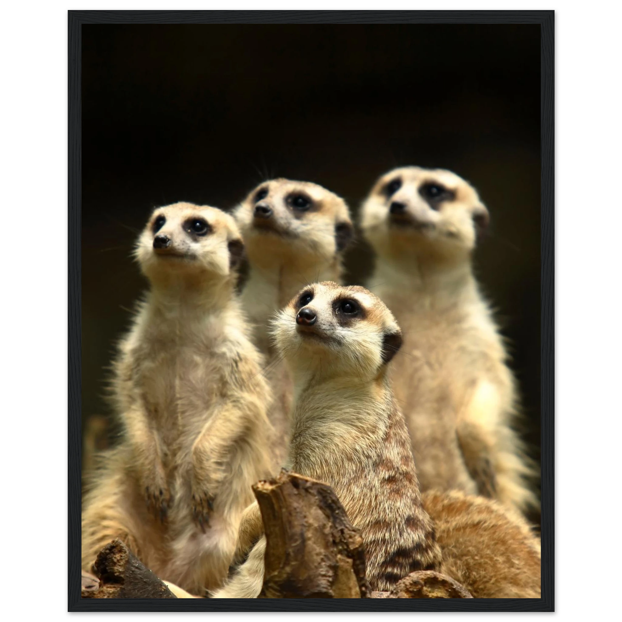 72a85828-5097-4ce7-8778-1c92f40310a2