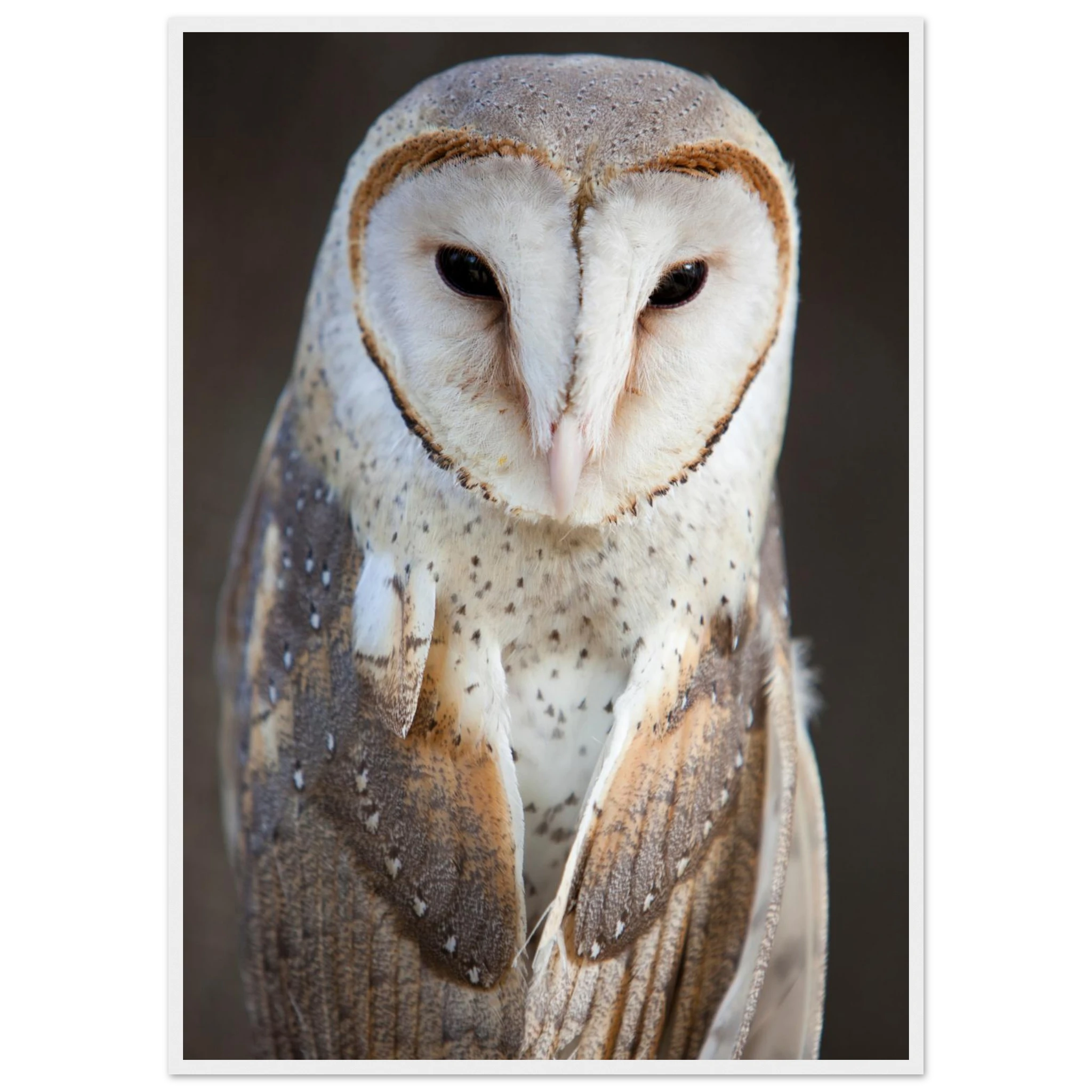 72a9102c-60be-4a2d-8def-621f0cb44328