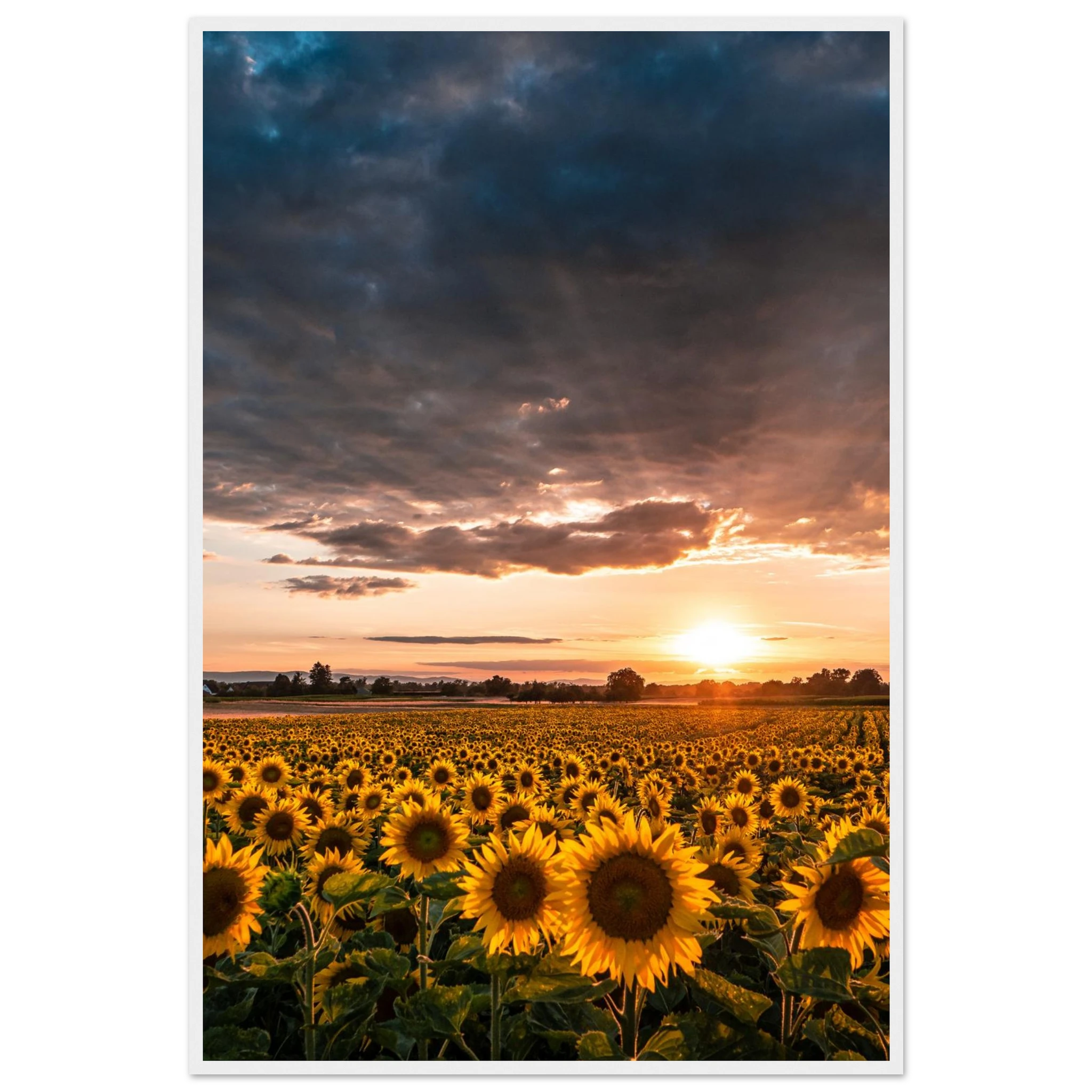 72b0c1fc-f33c-4ca6-a61b-d338efa39a4a