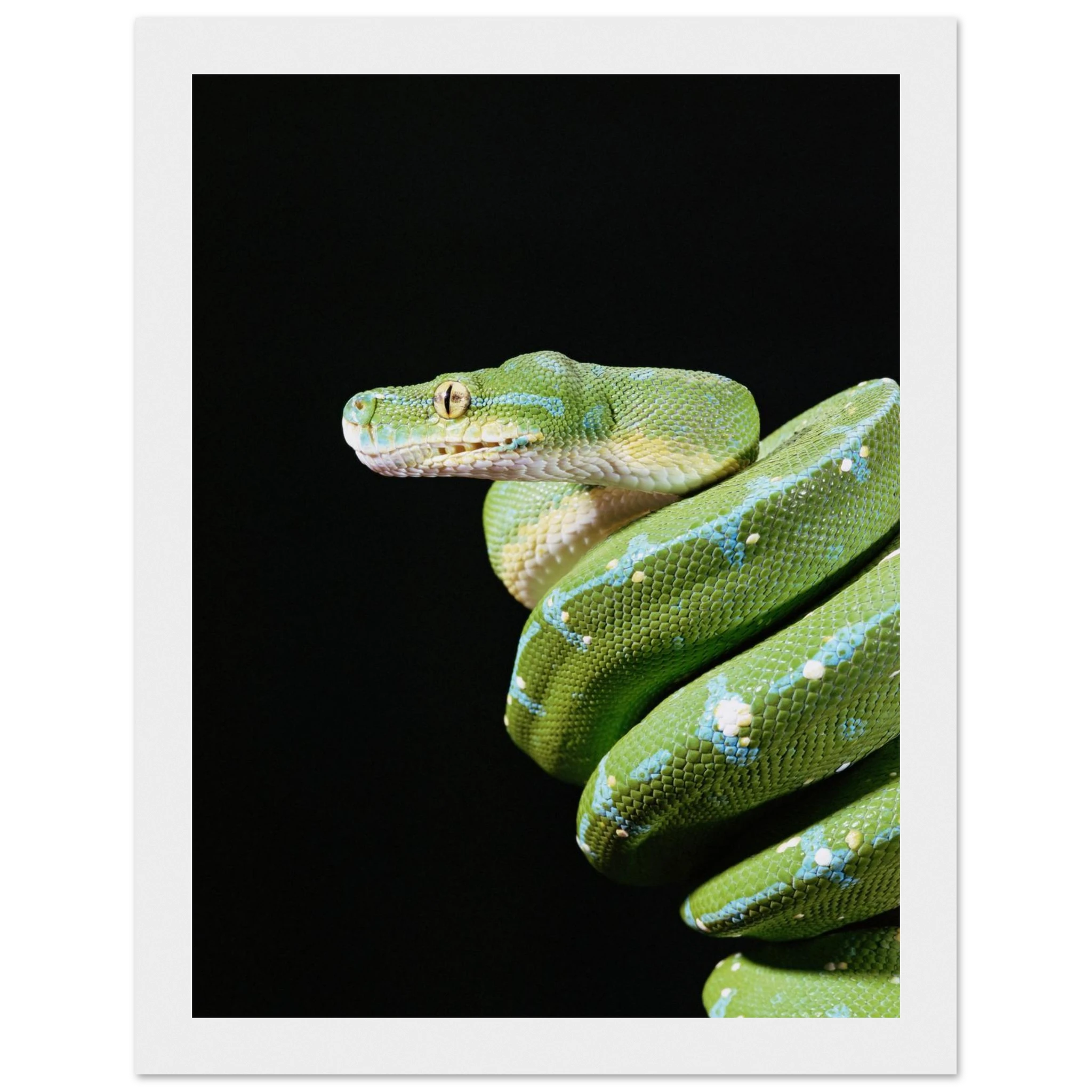 72b33722-1c68-4e35-9159-df81091349c1