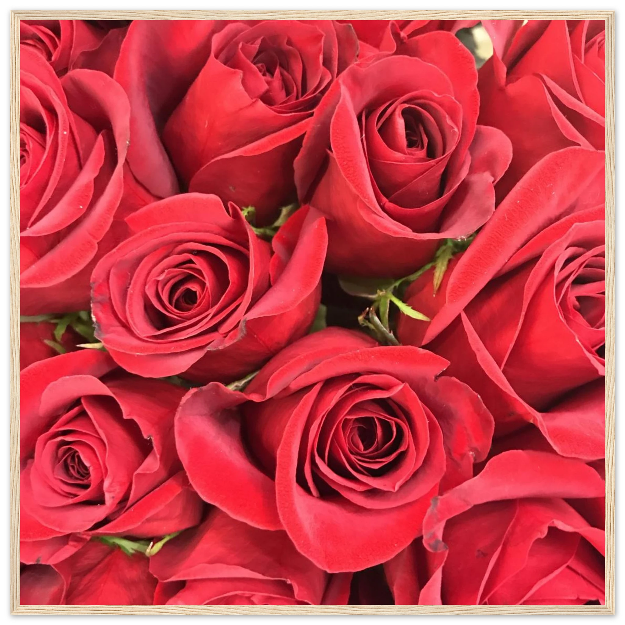 72f31087-baed-4fad-8b5a-81614538ccb2