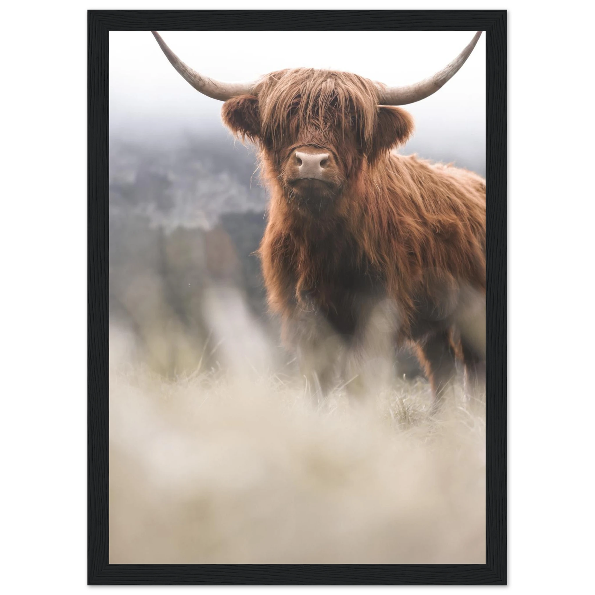 73002d14-5fda-46b8-b33c-dfaa943c6552