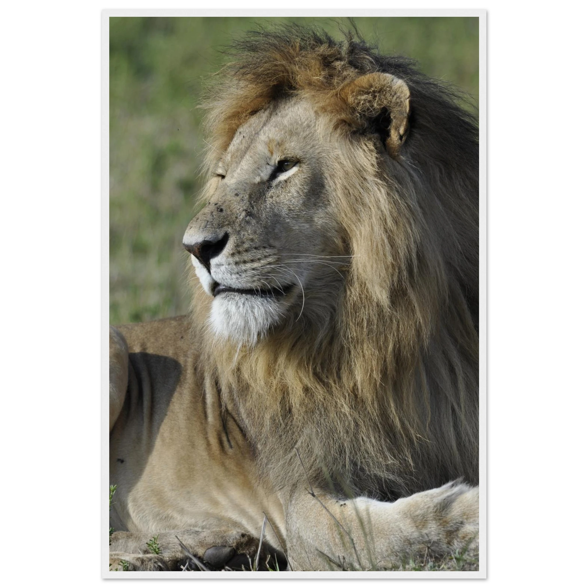 730db799-26ca-49a1-af28-349a4b95216c