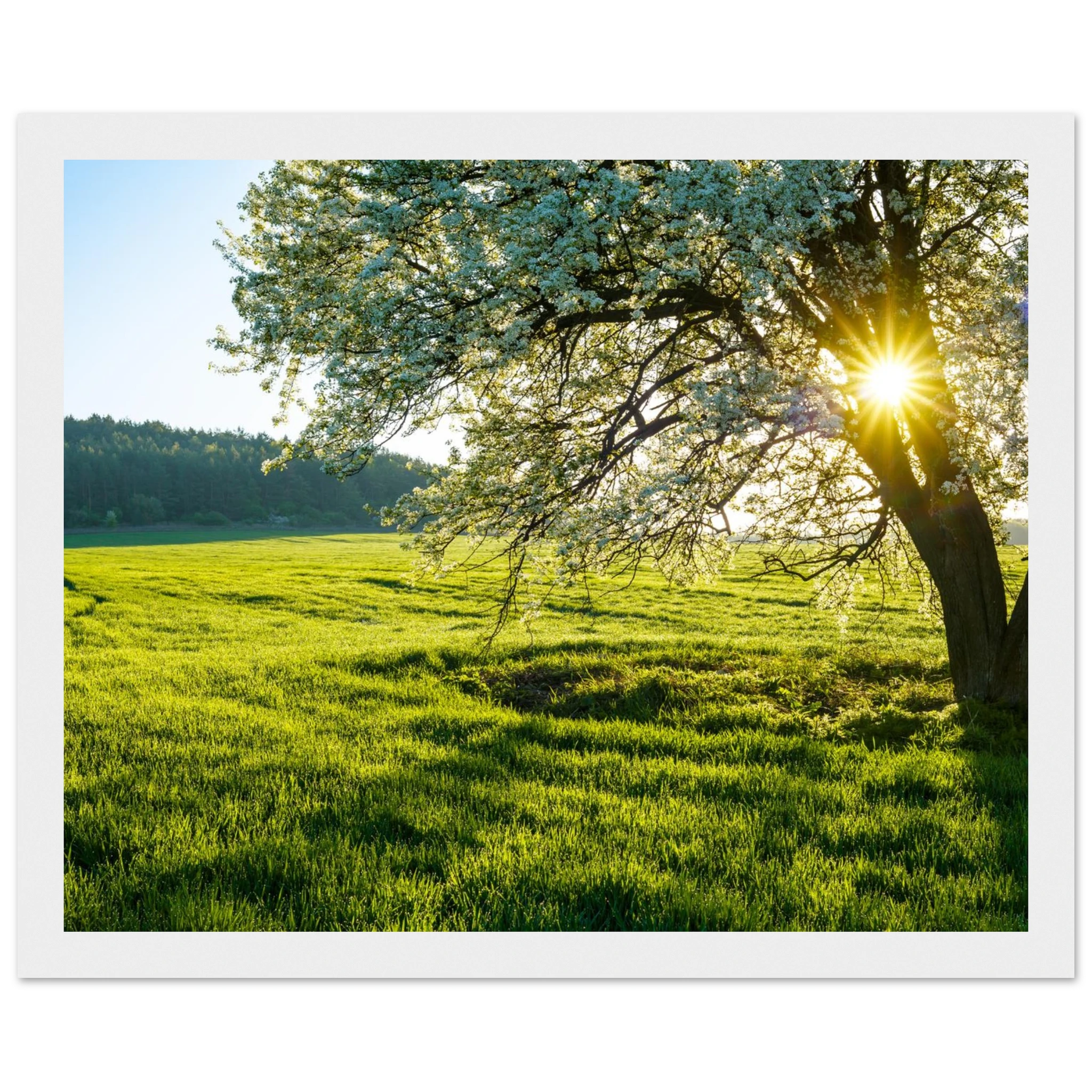 7316c8cd-2a33-4ba0-8c9a-6a3273004a7f