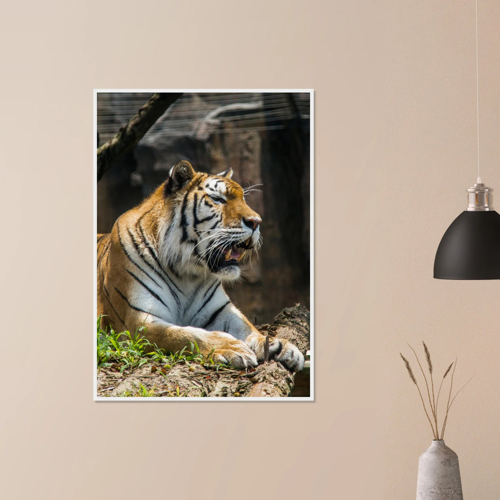 731a81ac-2bc8-4411-affd-4ee0951c25e7