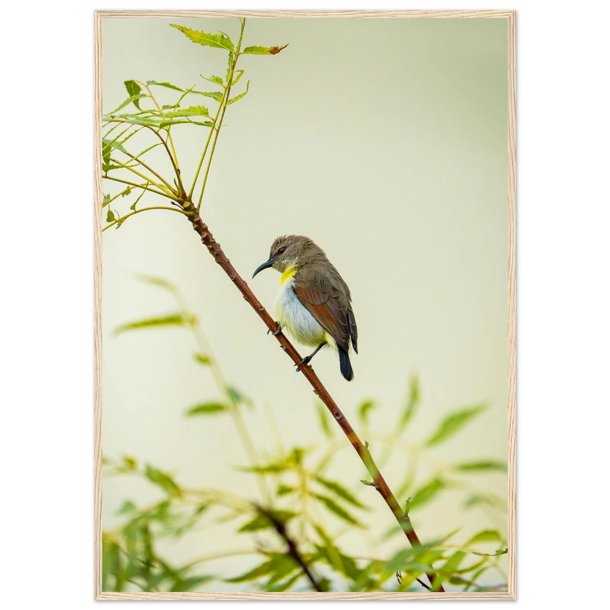 7322f957-39a0-4c73-a9f6-52047fe0b82d