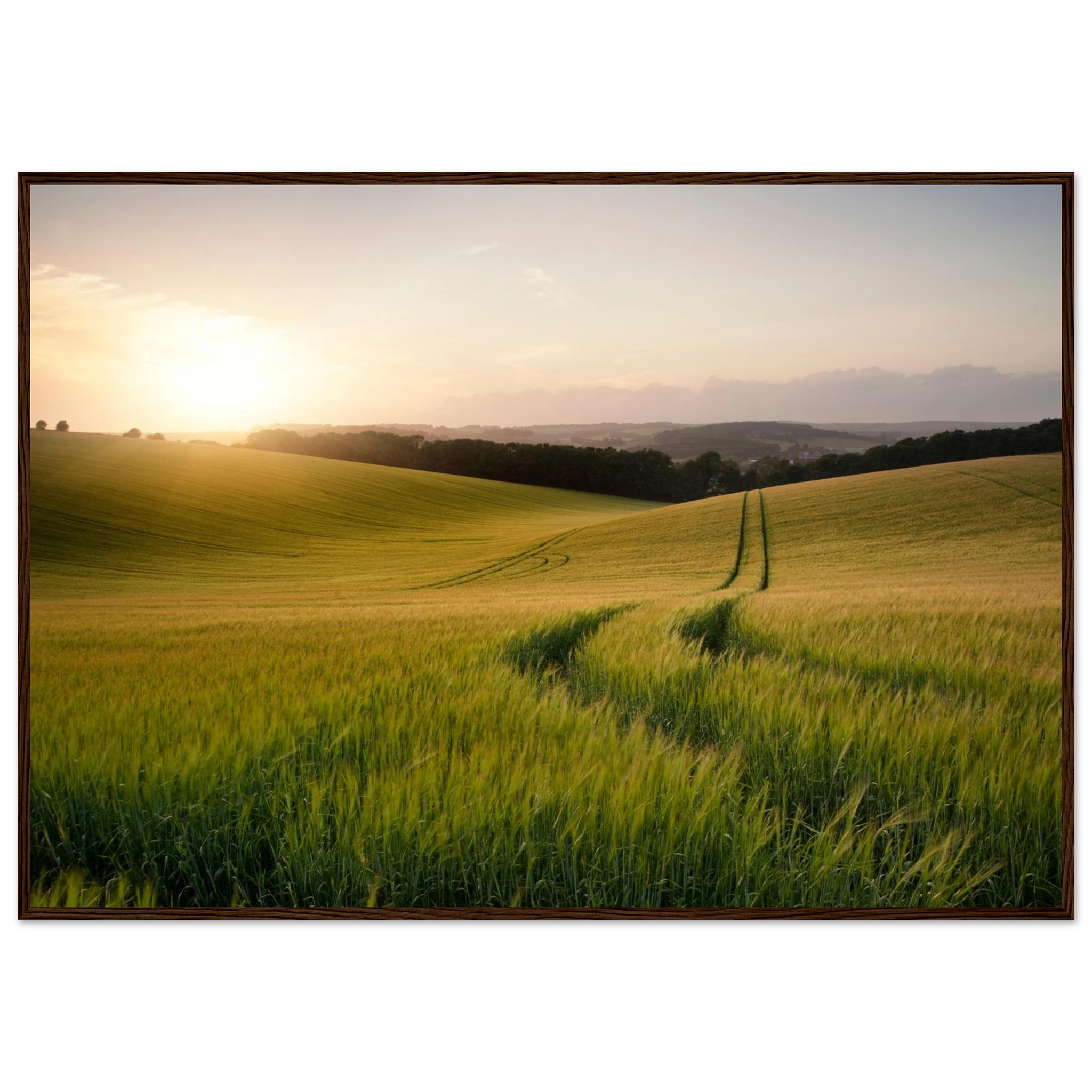 73838511-7313-4fa0-b2f5-292bdaa8dd13