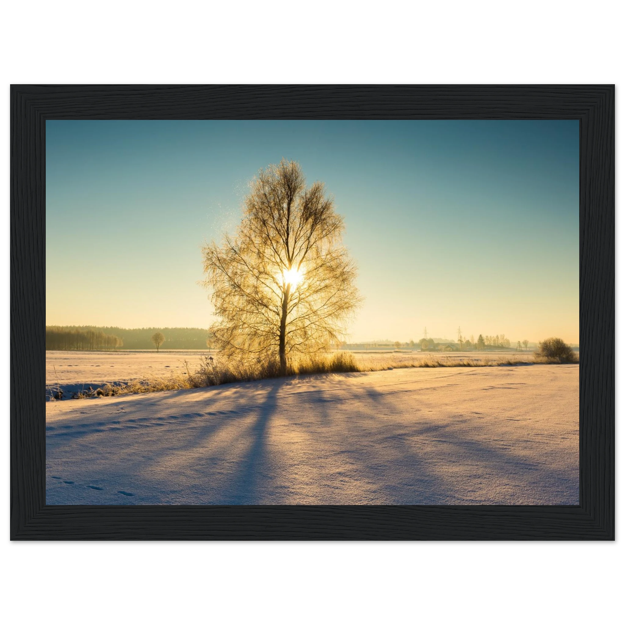 7397e8cd-3bdb-4267-a91b-186fb4f4dcd3