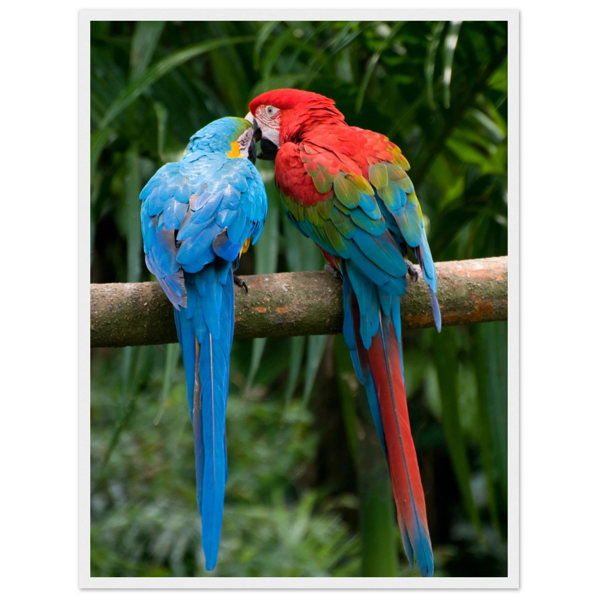 73bb7a81-eb57-4cc4-a0b7-312c3fae9003