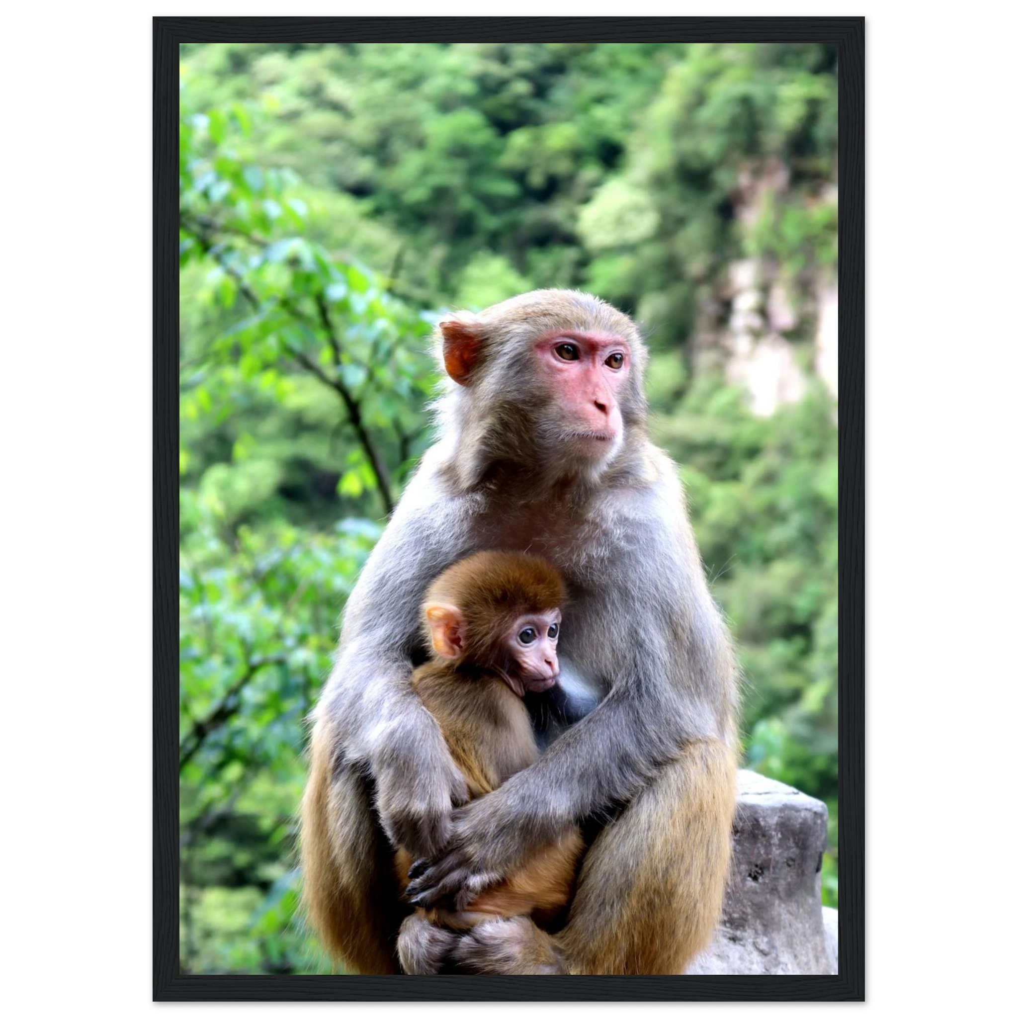 73c09063-a8d1-4d01-a748-2bfecd33d341