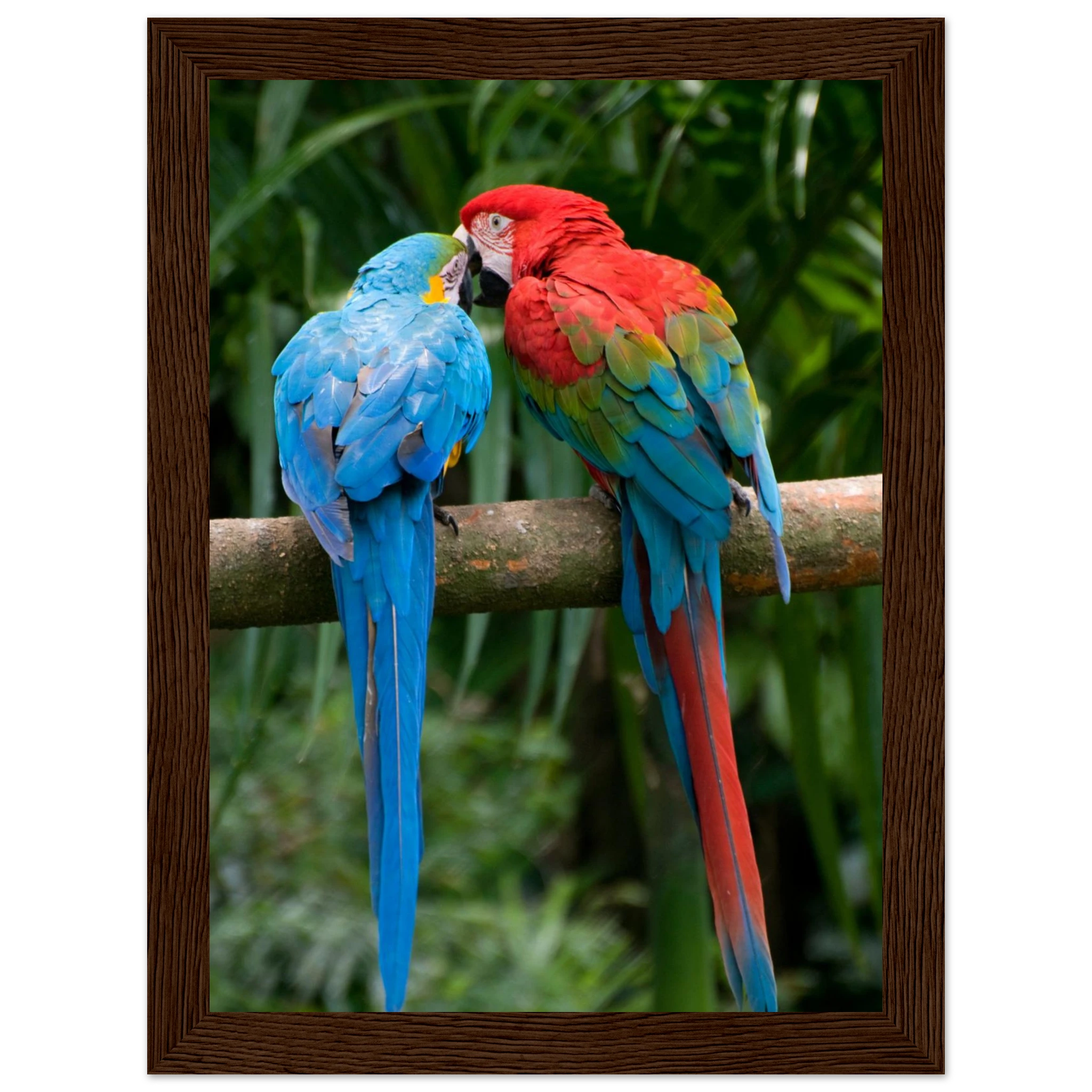 73c79c6d-8cbe-41b6-bea2-d8b765d06e1b