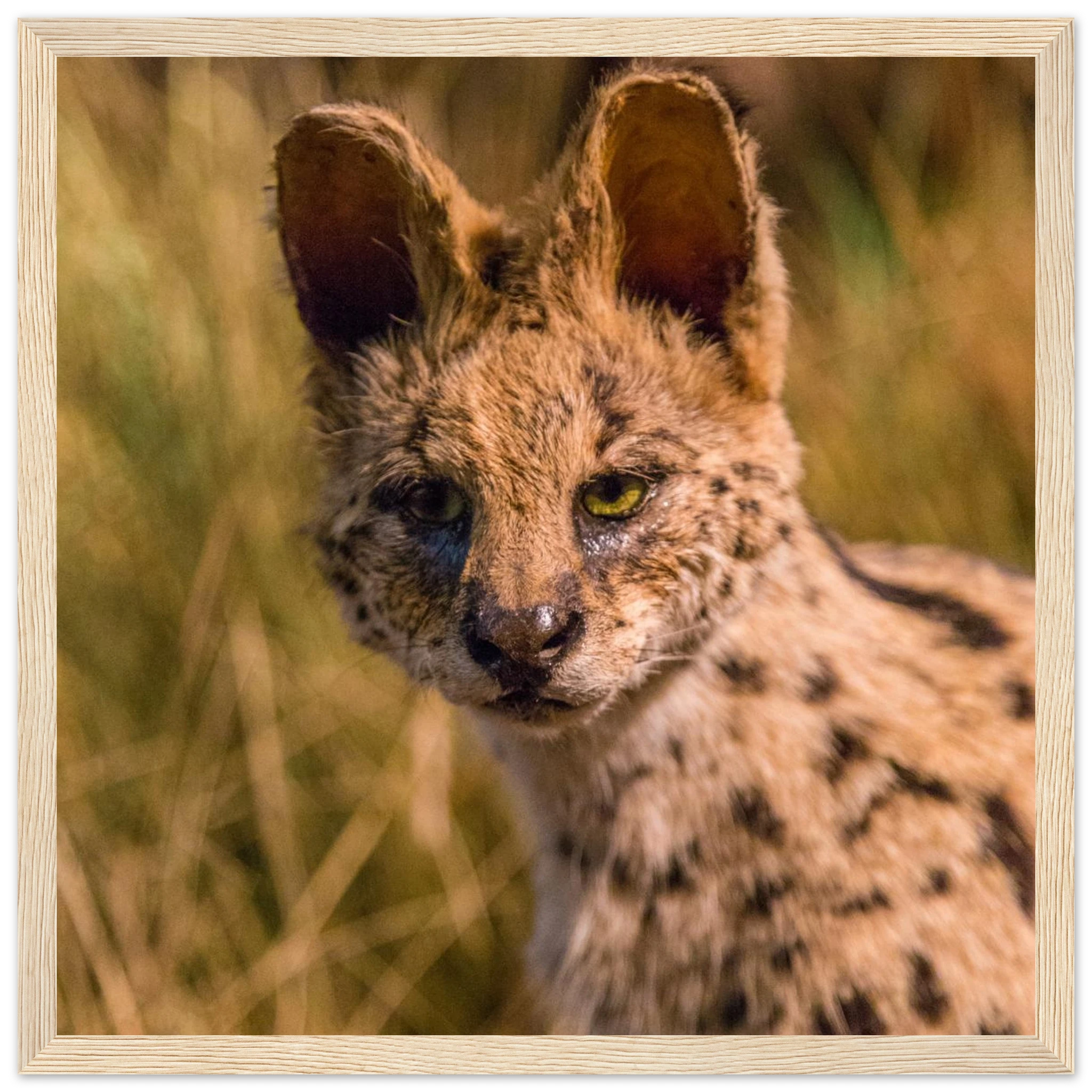 73e25904-02bc-4b61-8ae2-84eaf9e33f82