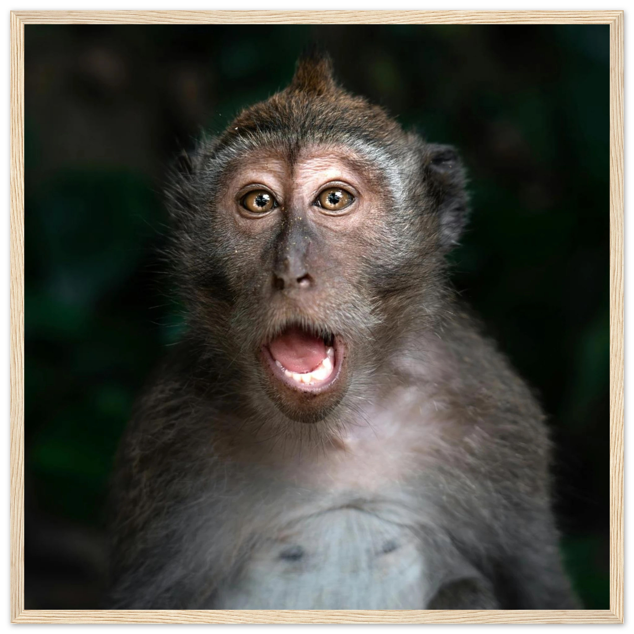 73efaaa0-15a6-4e2c-8554-90f145eb0dd4