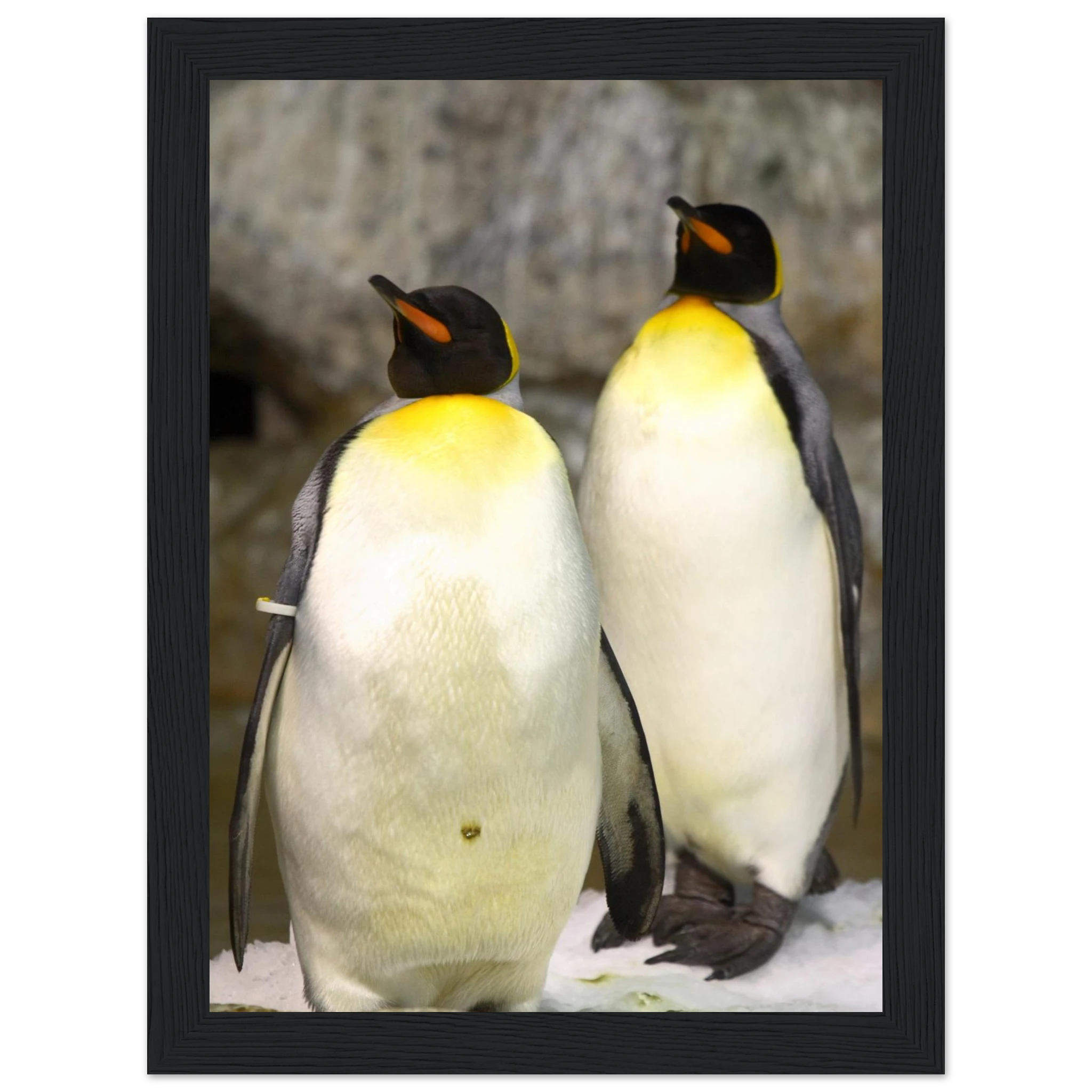 74064321-3a76-4f03-a099-2cf77d606204