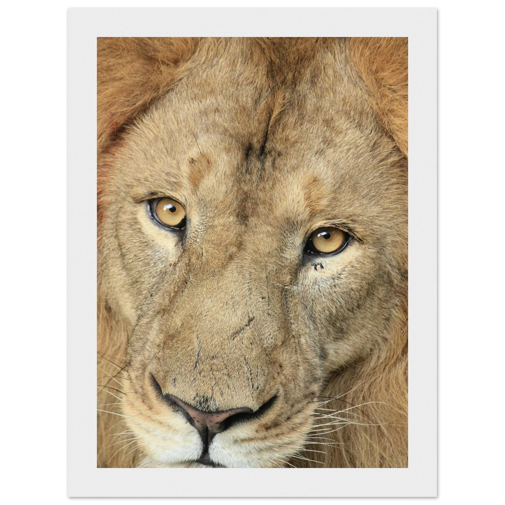 74093f37-2a45-4a2d-9526-998a462207c9