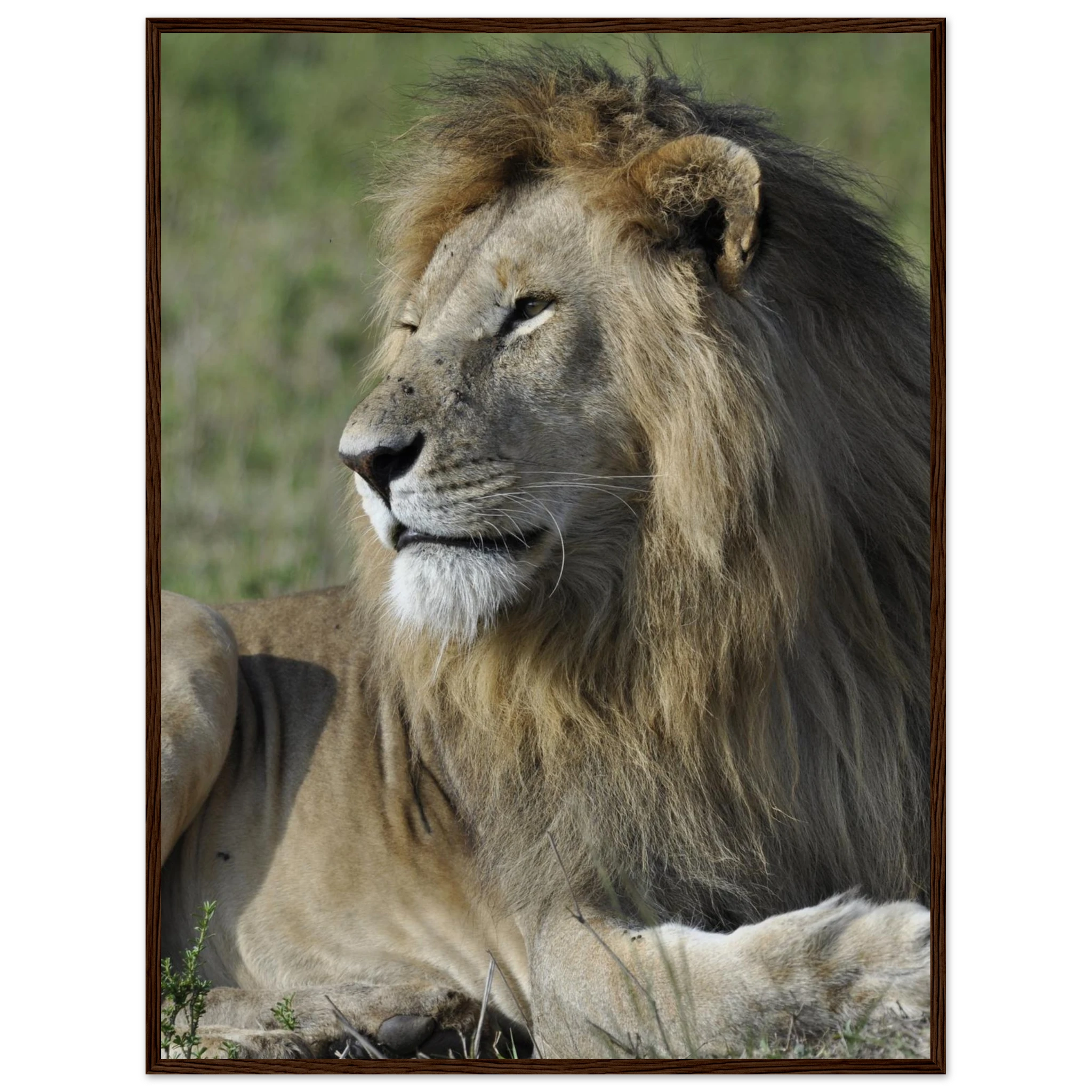 743a880a-7507-44d5-894a-2278e70f8cb3