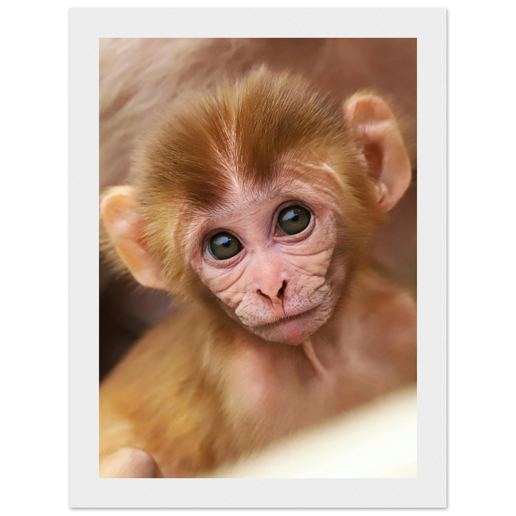 743c418d-4c23-419e-b4e8-4d7a004dafe8