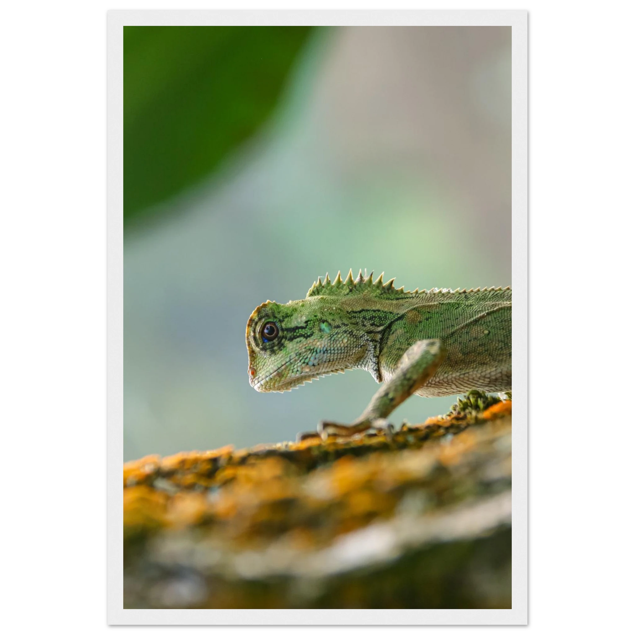 743cc12f-7c55-47b2-8c52-ef59ea83d724