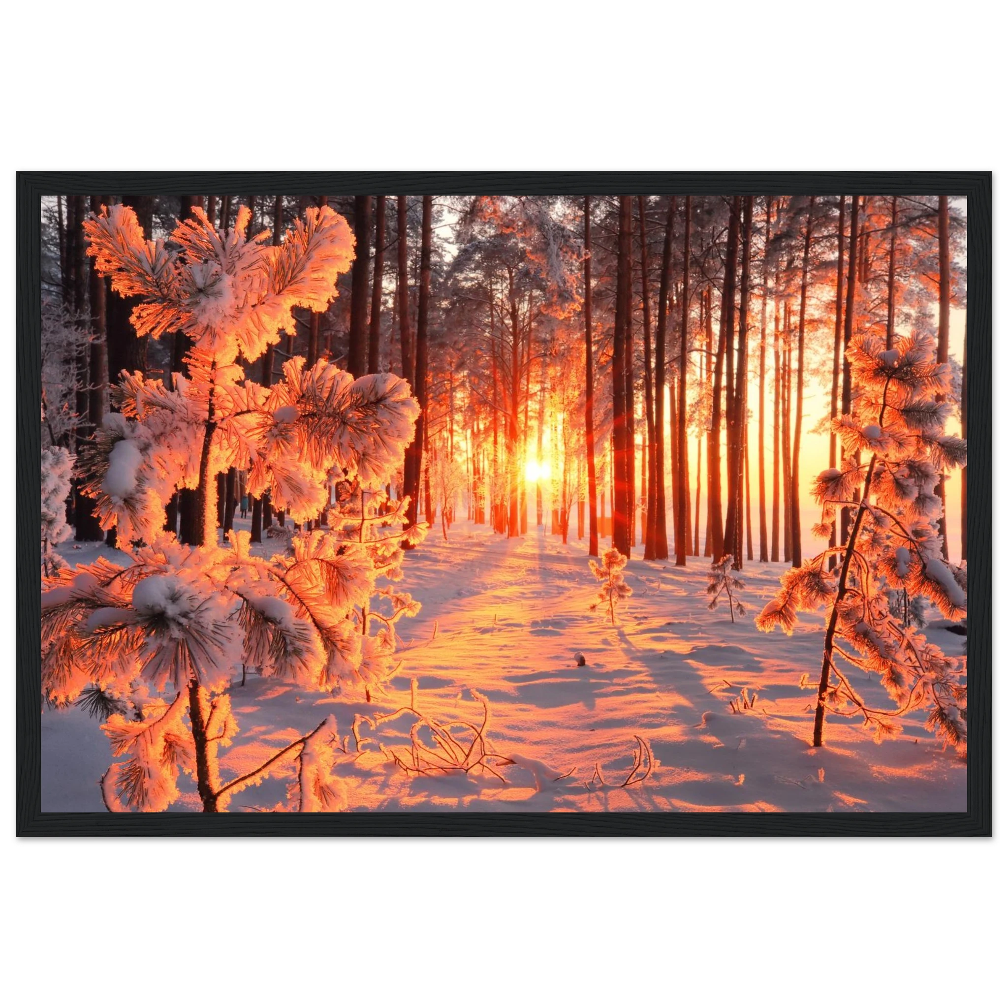 746ce49a-61d8-4856-b8f0-8883b8337e05