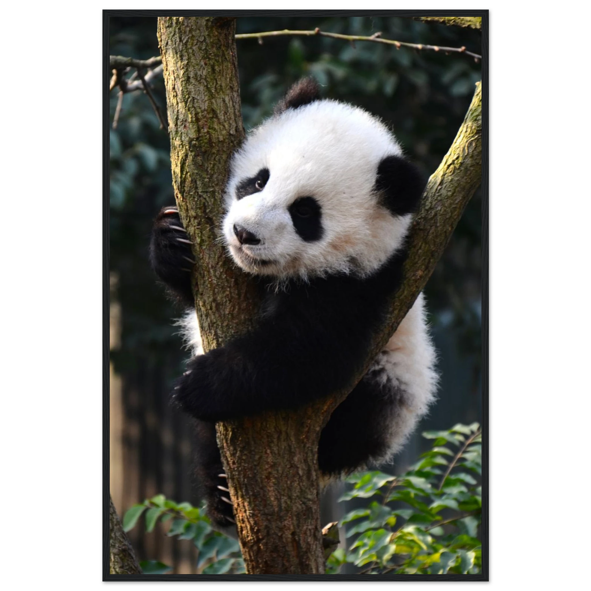 747a4ee8-f29e-47c0-9540-d02c7d1167b1