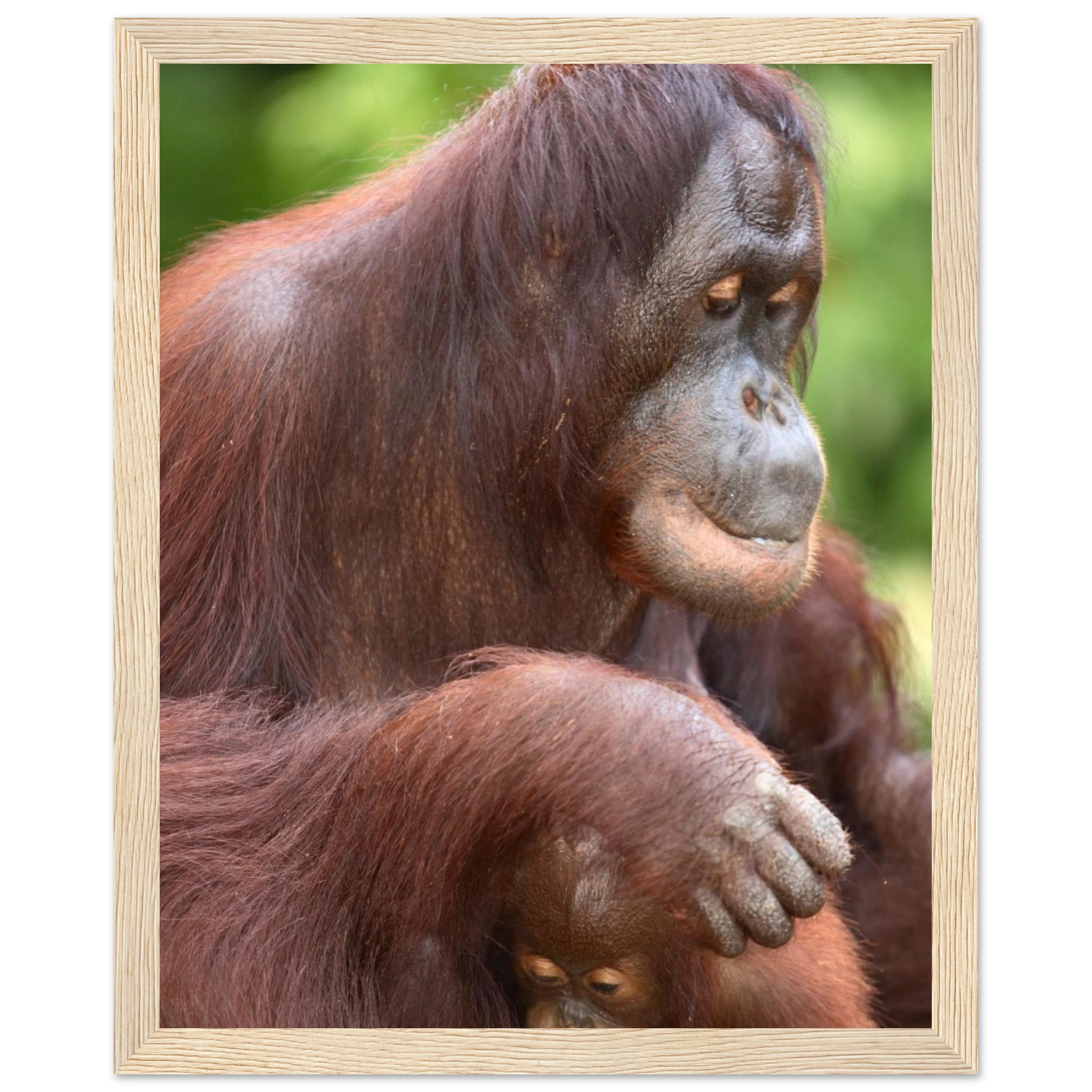 74995286-90c0-44e0-9956-88a16f823d09