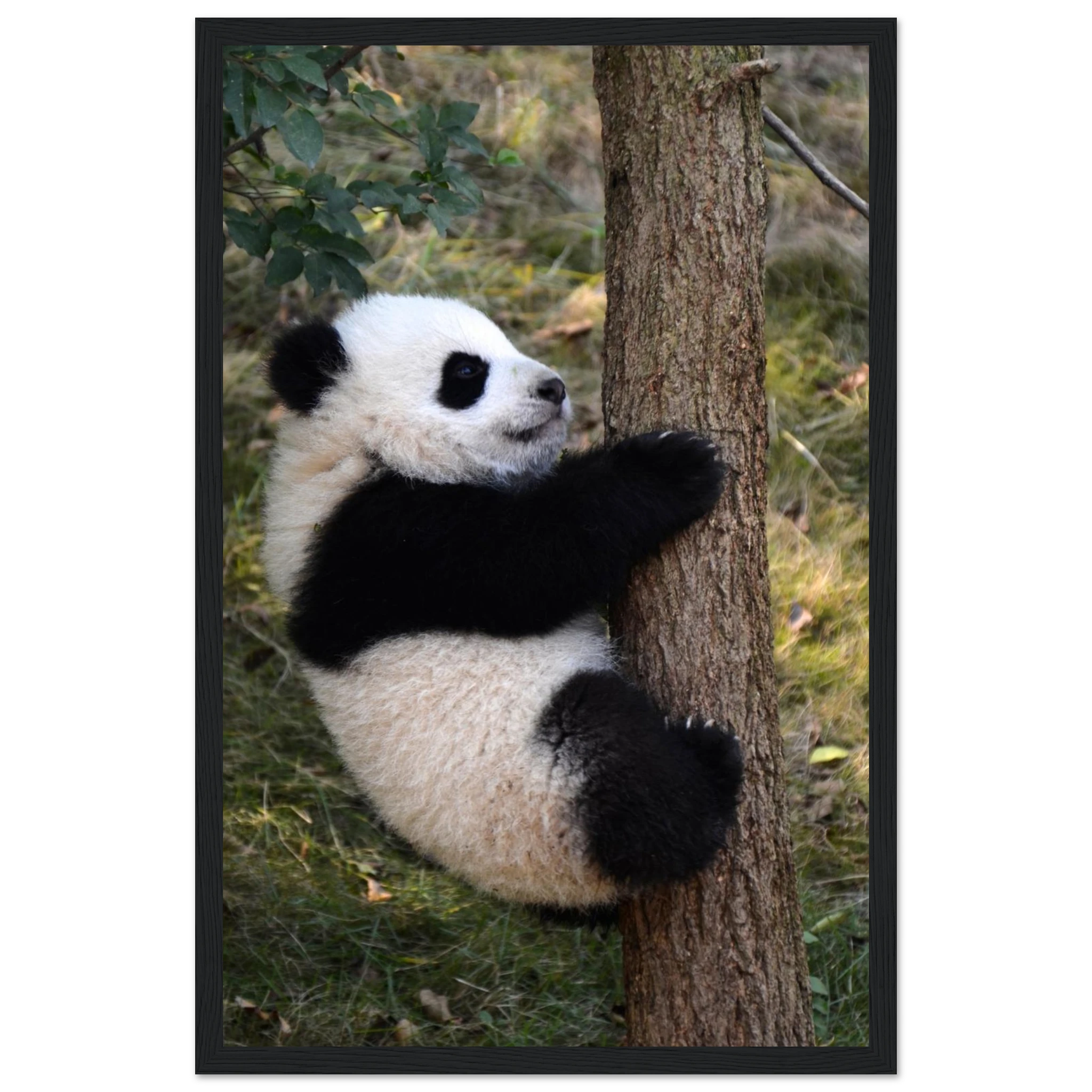 749b3a6b-913c-468f-9c5c-7c27acb6984b