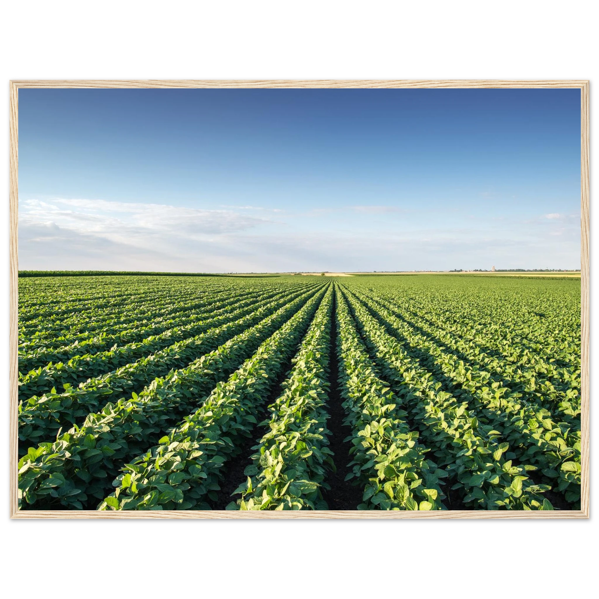 74a84d8c-df78-4284-acc3-77b0b177df80