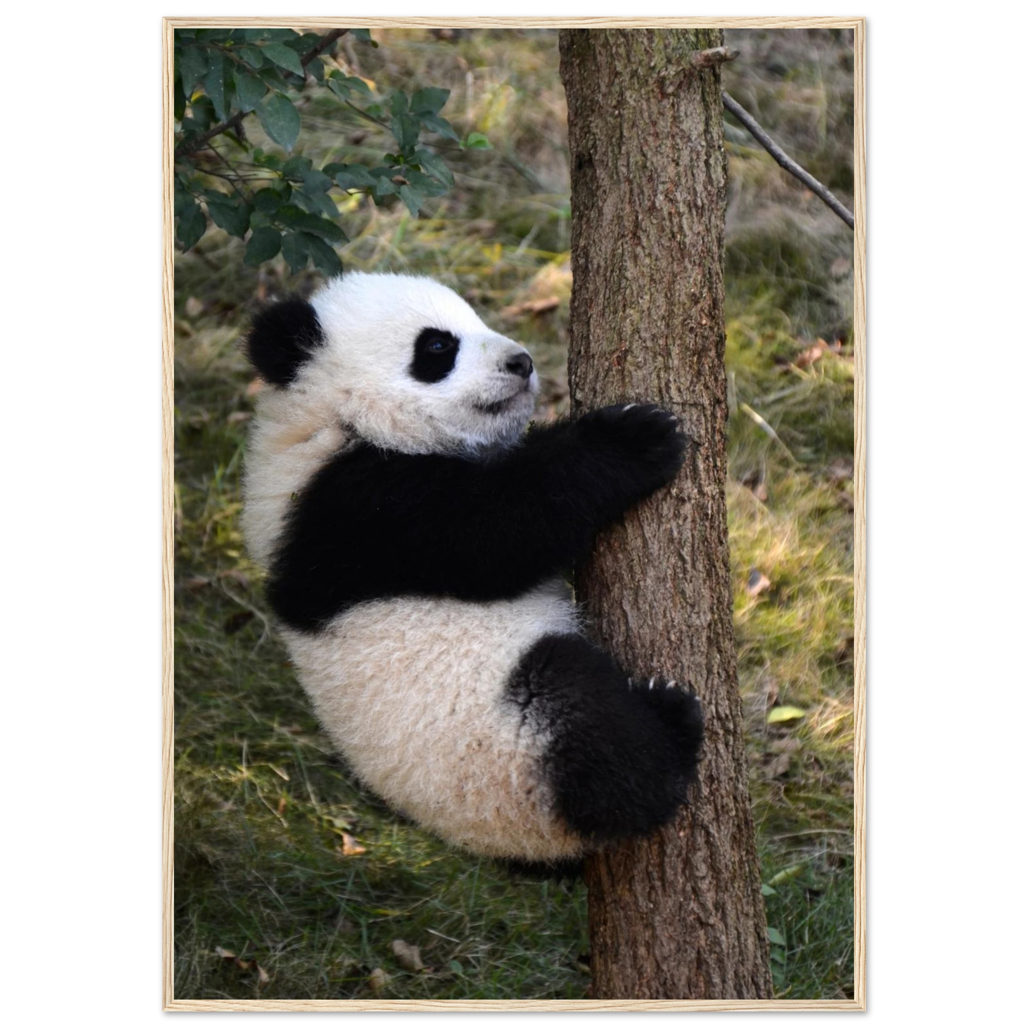 74afe72c-a4b7-44e0-b231-372249646011