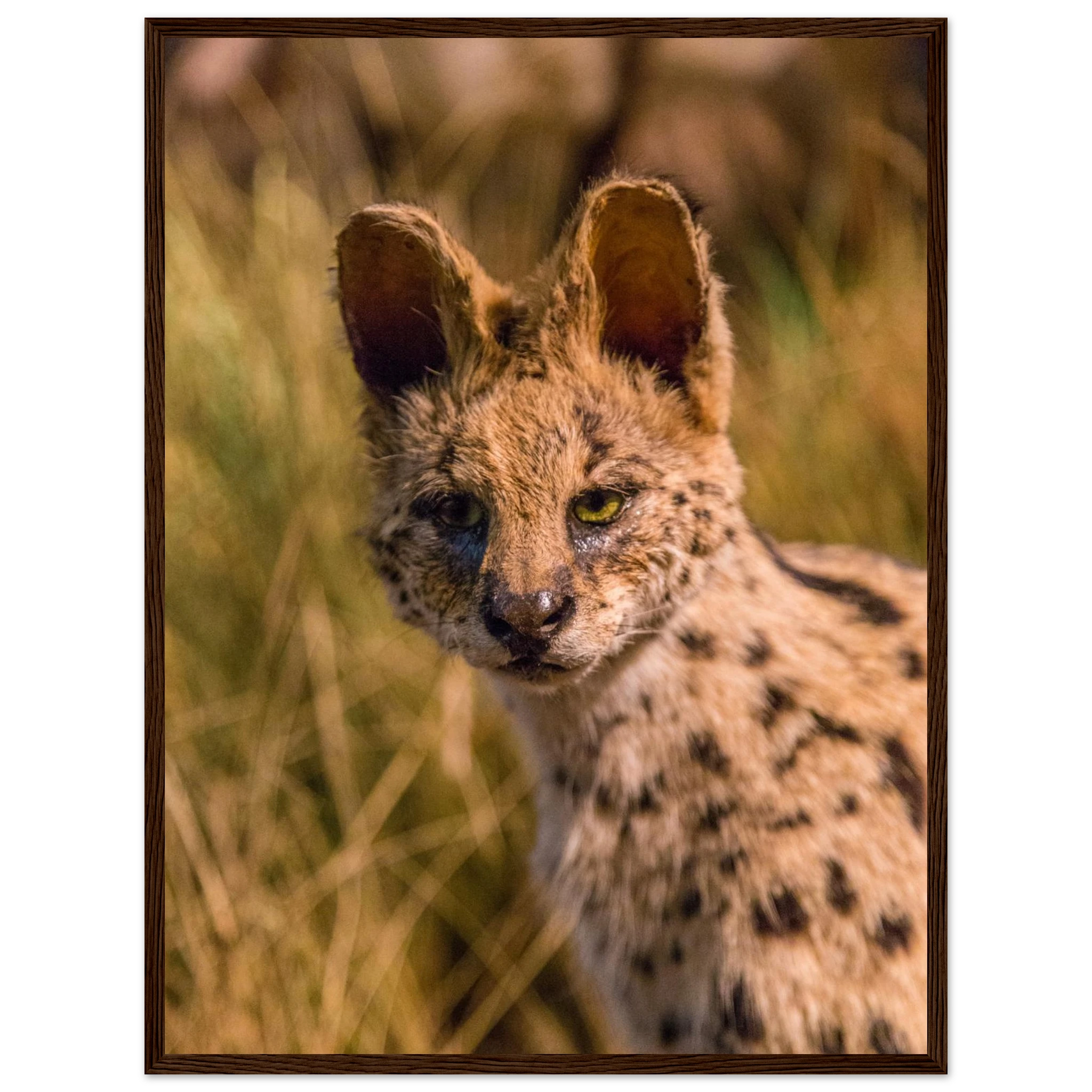 74b40151-8588-48ac-b349-d342f4c7a9f5