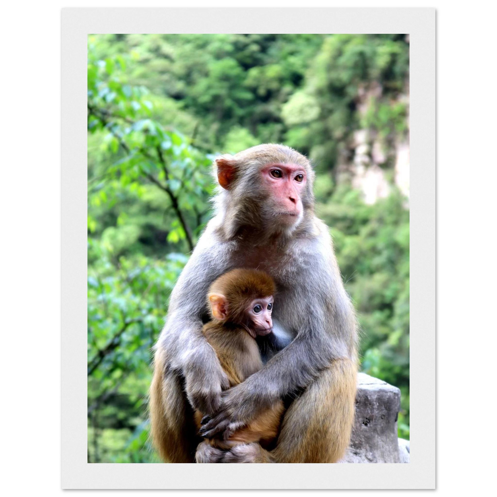 74c79197-ac67-492b-942d-b2cc73757730