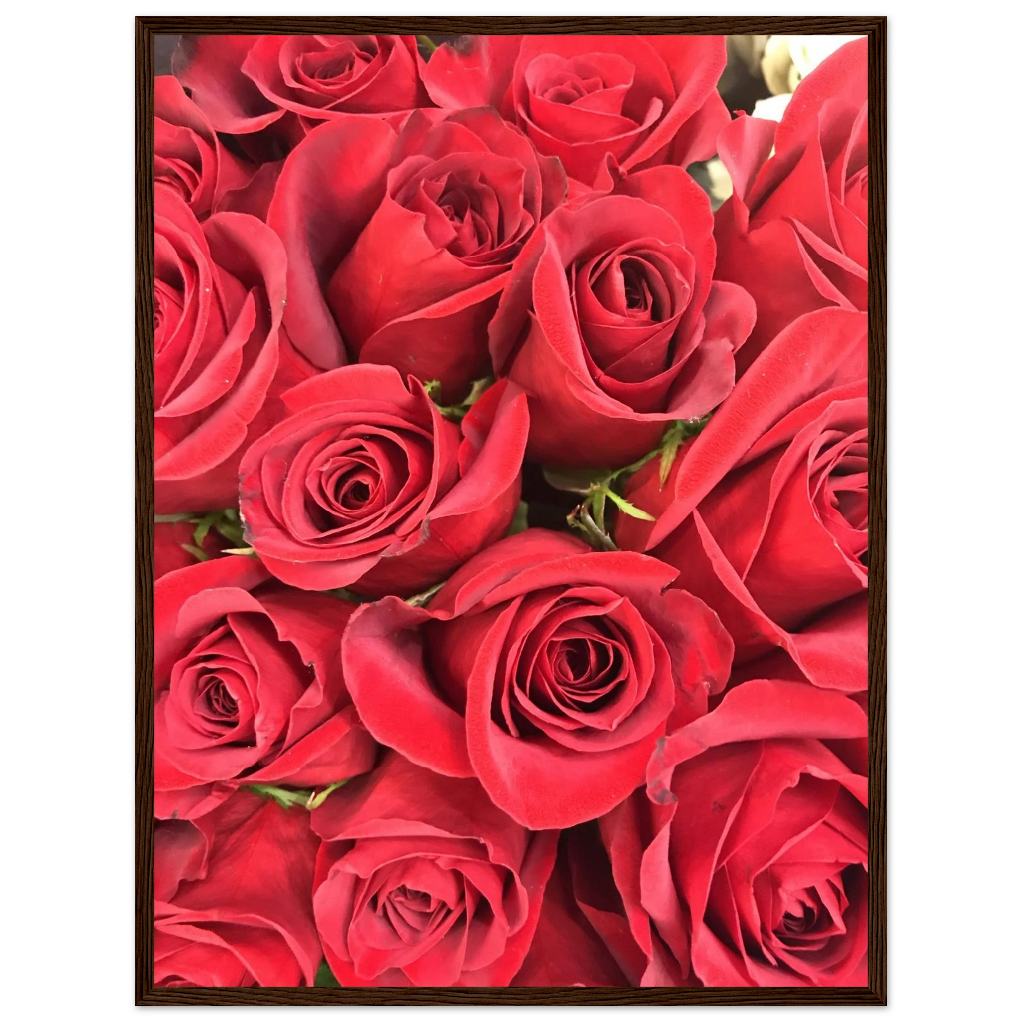 74d8ed0e-da96-43b6-bb06-4ce023629b57