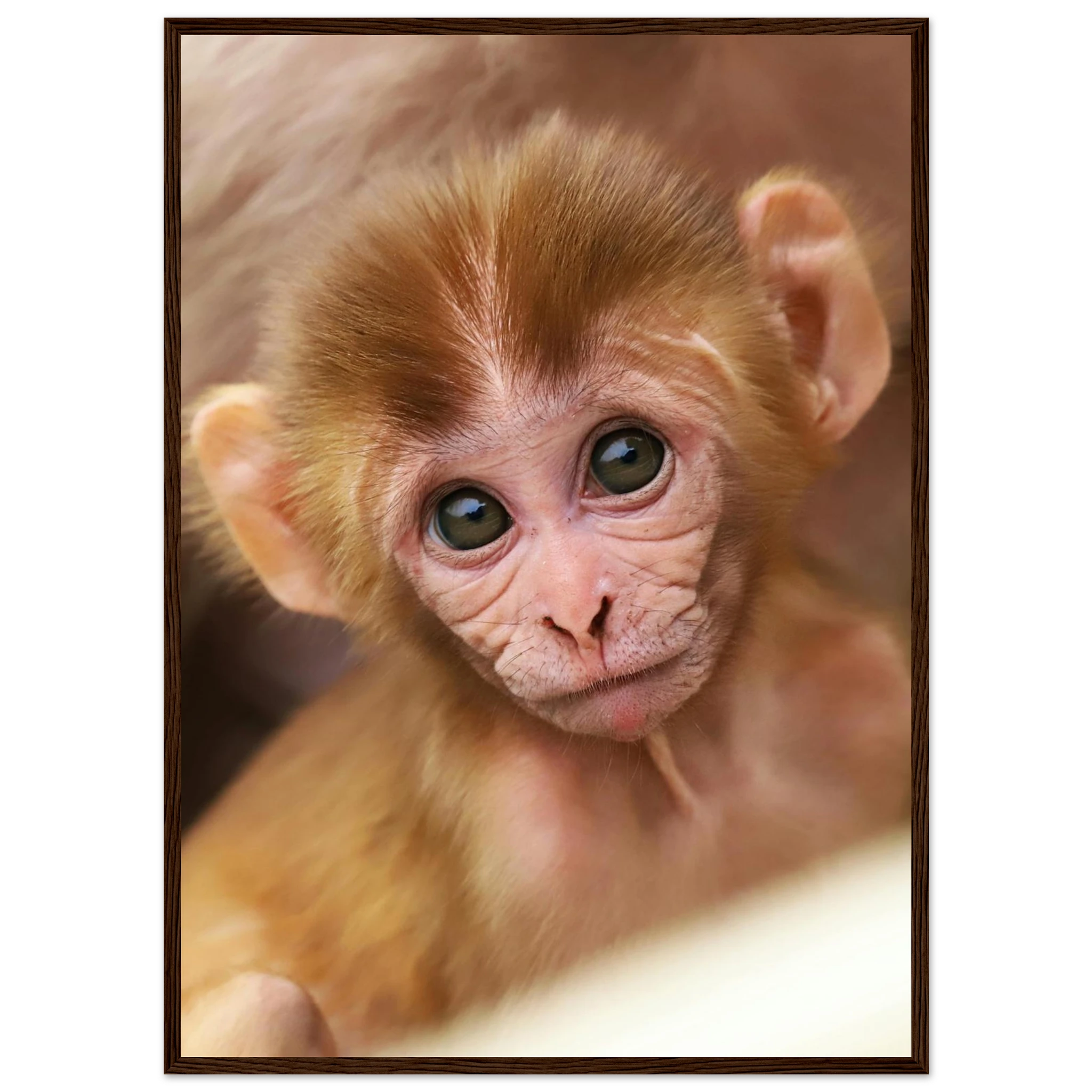 74e7c691-e4f7-461c-b6c8-bb055b5daf96