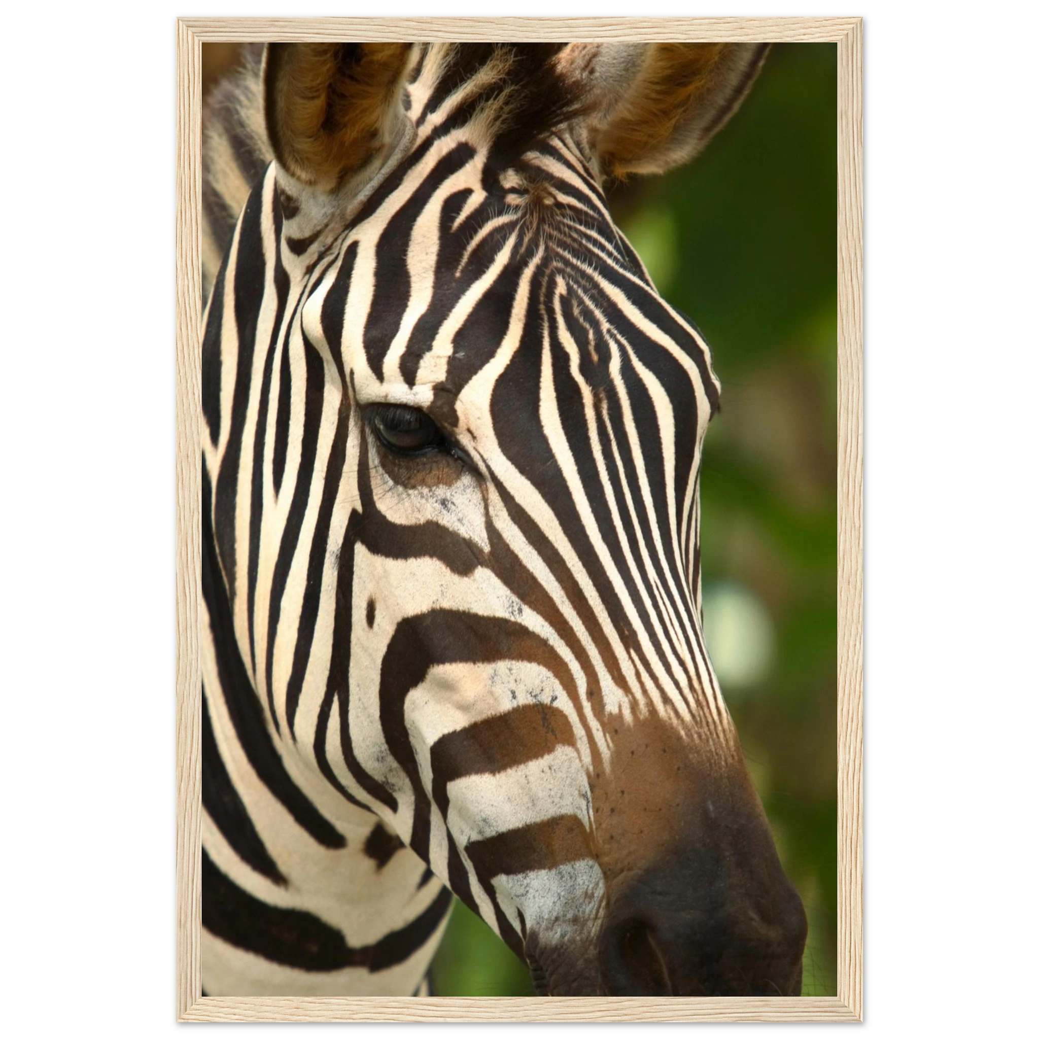 750ff3a5-e63a-422e-9bbc-bb6b3532c8a7