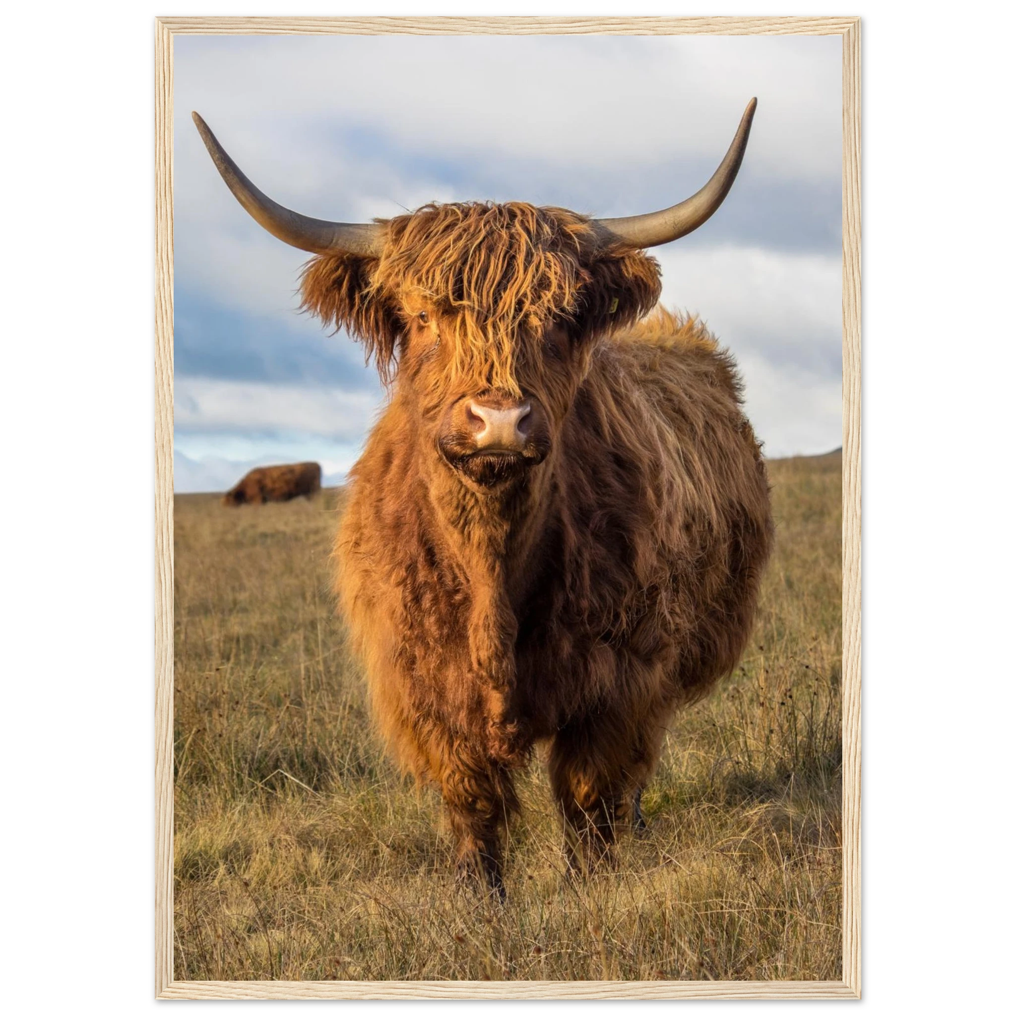 7510dc1d-73aa-4b05-ac0a-9b83072c9d3d