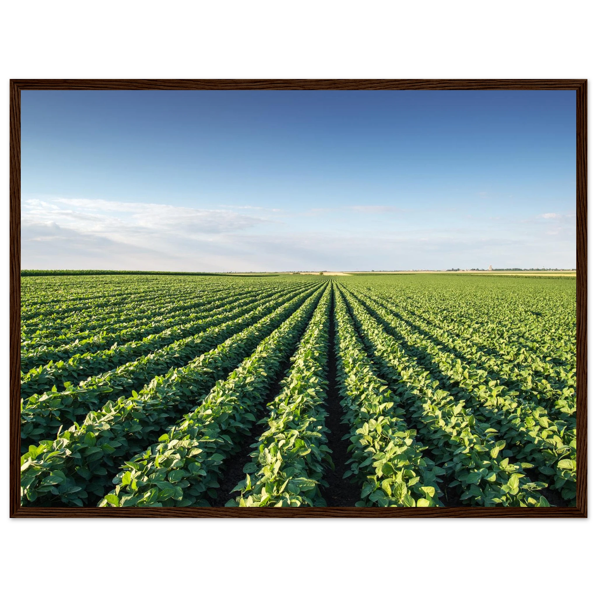 75184f90-d390-48ee-871e-9ac27a4eec27