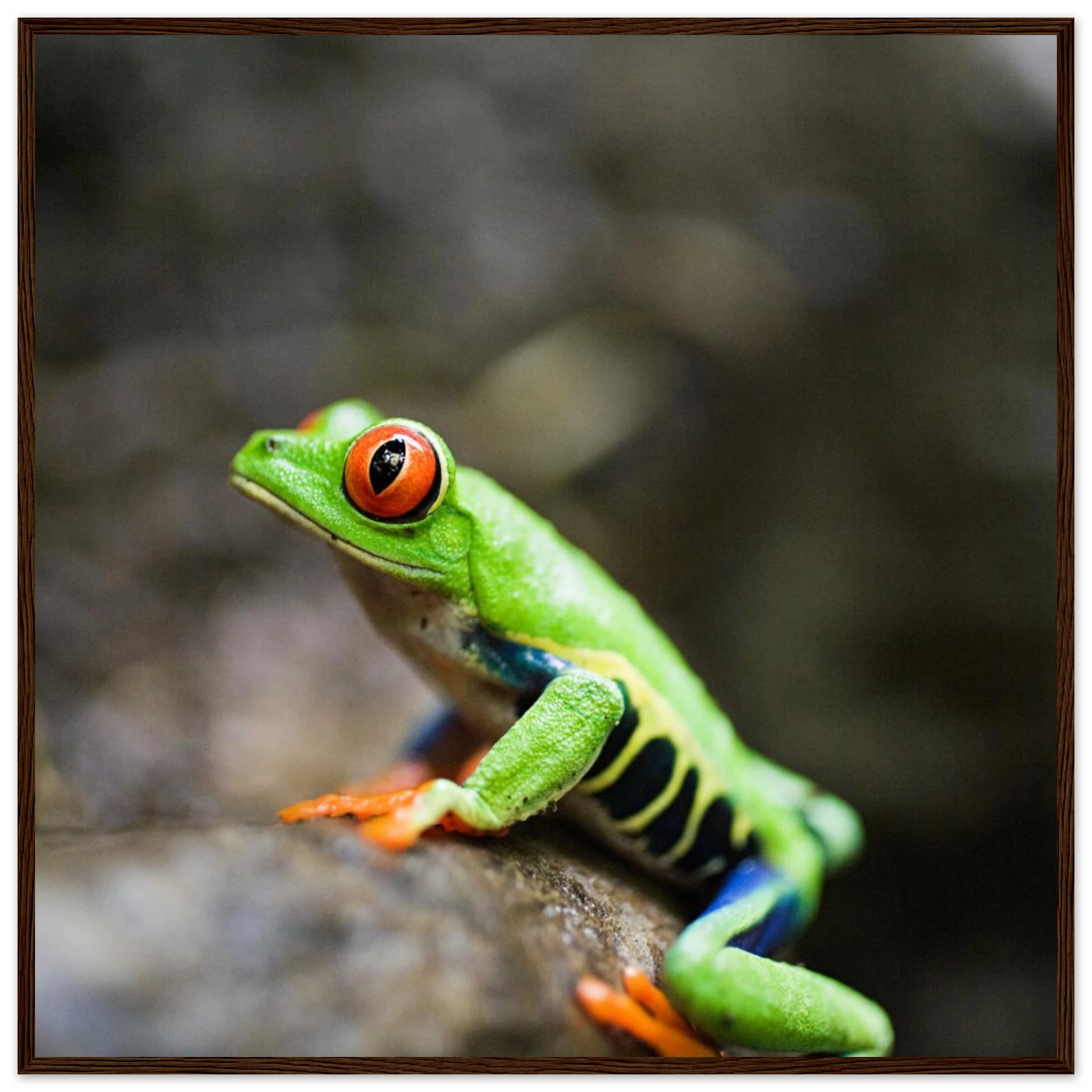 75289c1e-2056-4e04-a450-dfada0ffcf2c