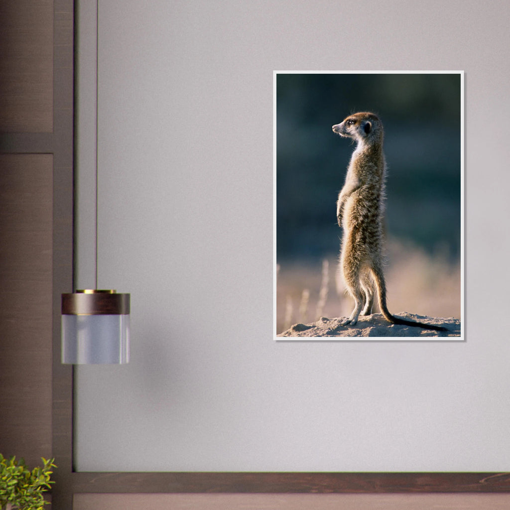 755c6038-0904-4e86-b9ca-d9b5911c1d2a