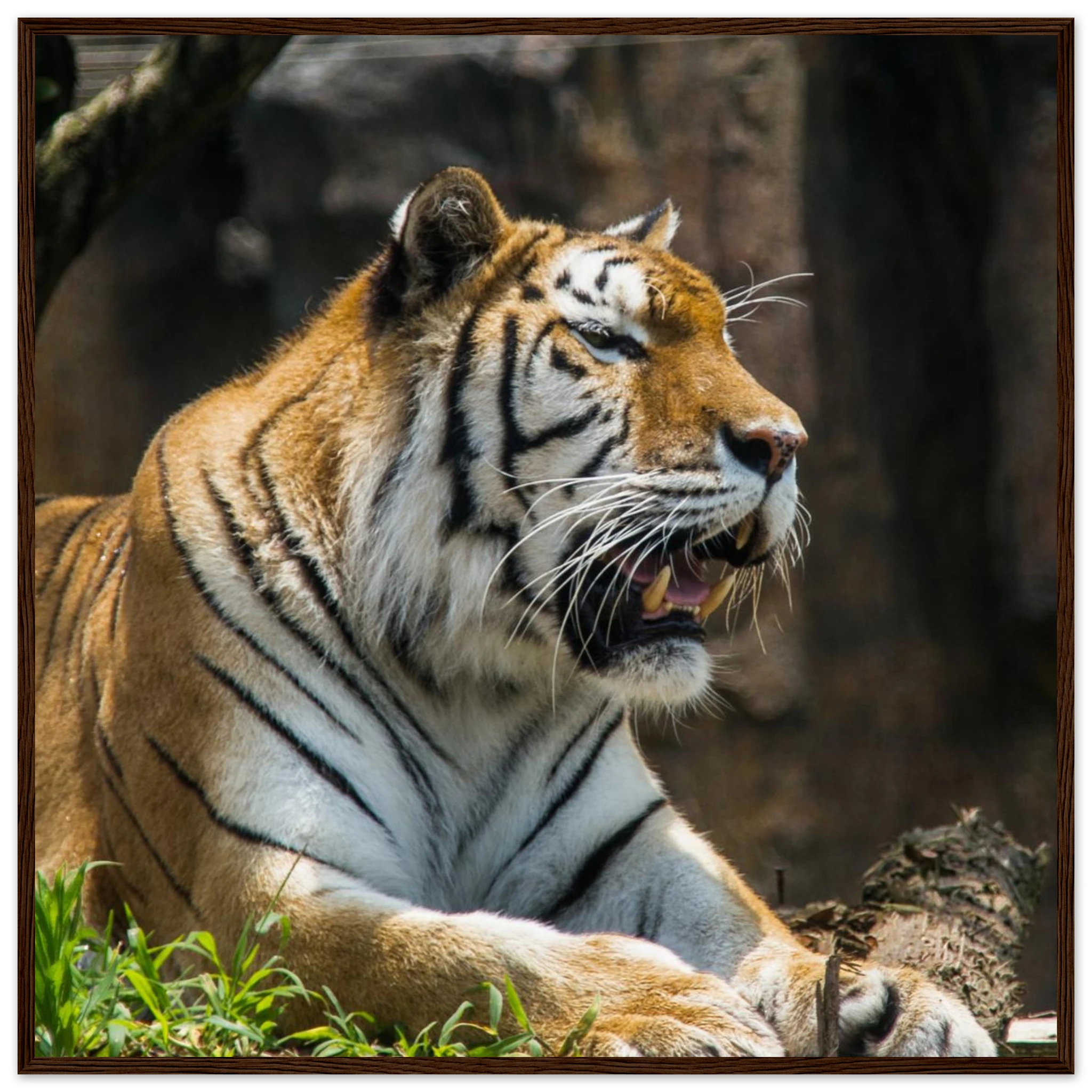 757eea43-364d-401c-9aa0-16da4738cbb0