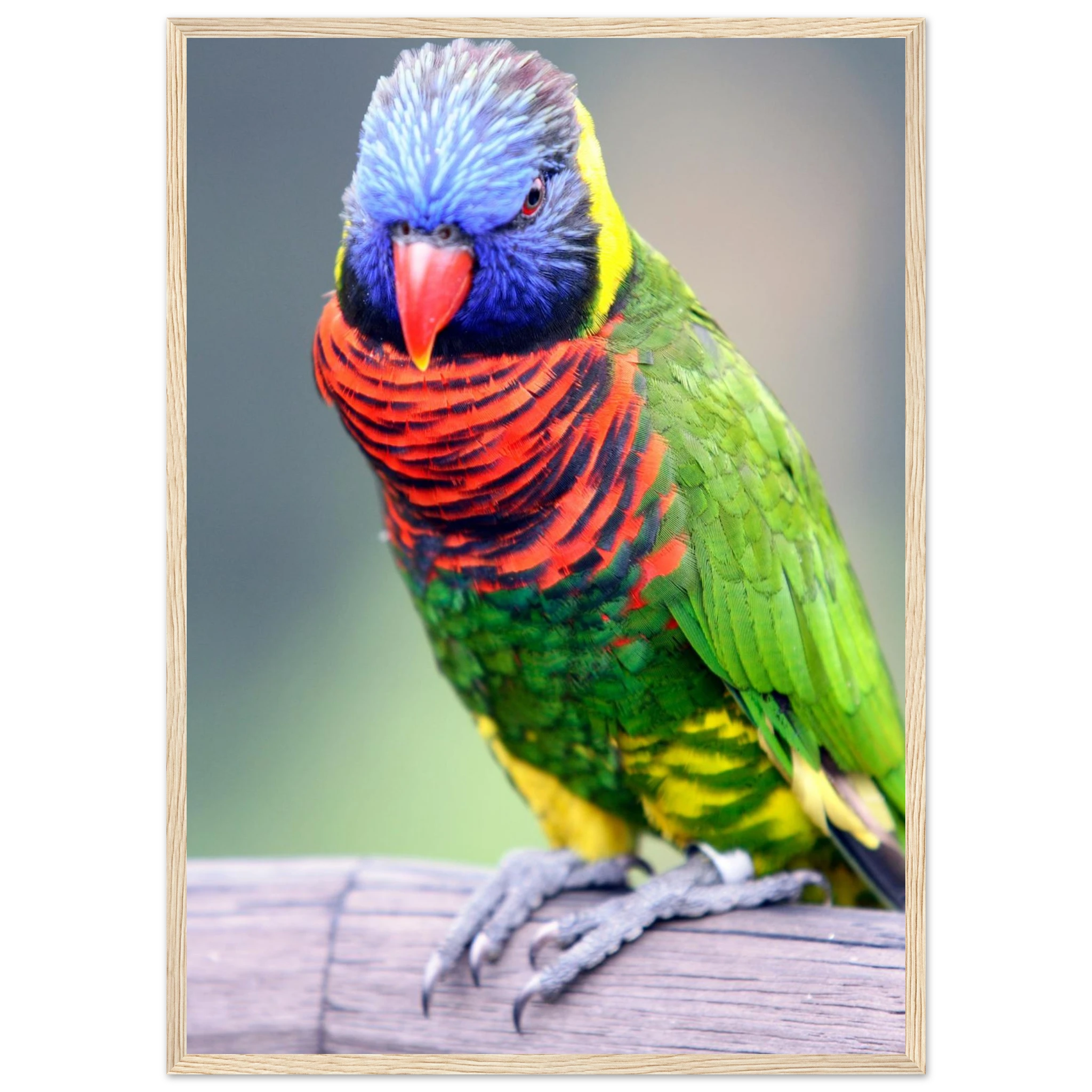 7591bf23-6627-4f3a-bd40-d8adaeaf0791